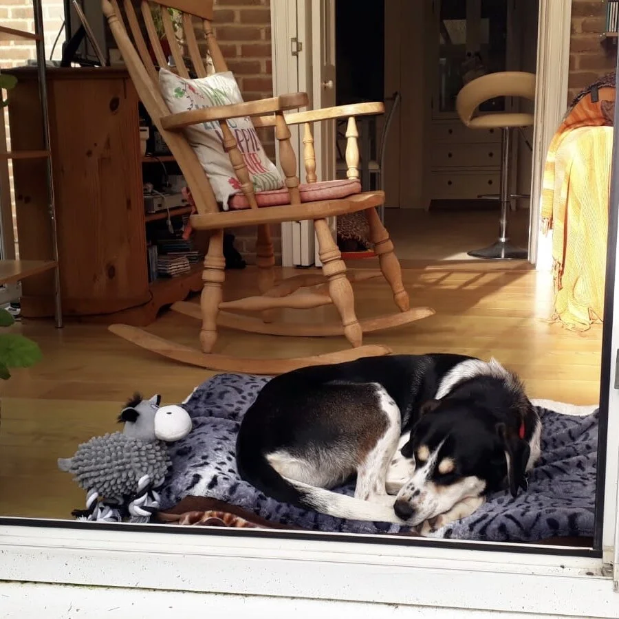 50DE2D9F-70CF-4B26-9EF6-790085FA3BC5