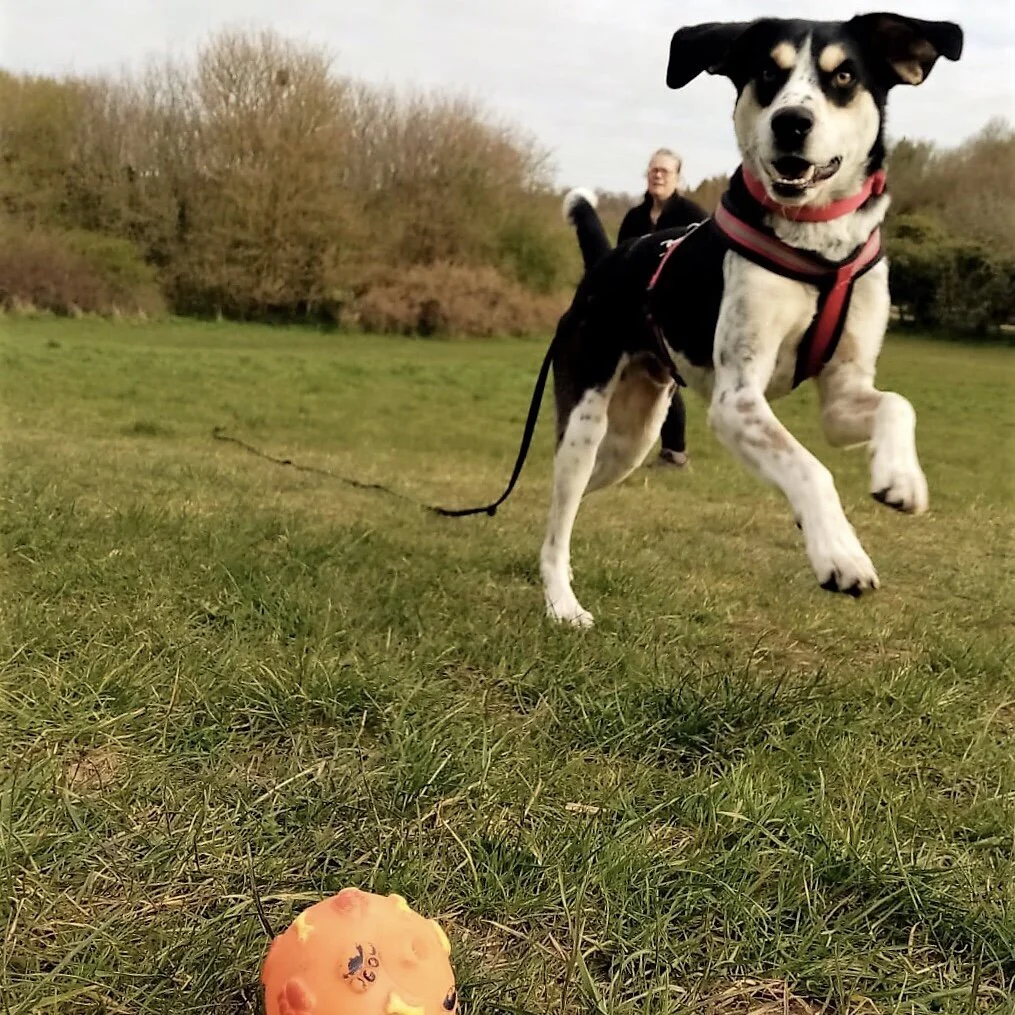 B513C384-4DA4-4B5A-8369-95A8B3282DE9