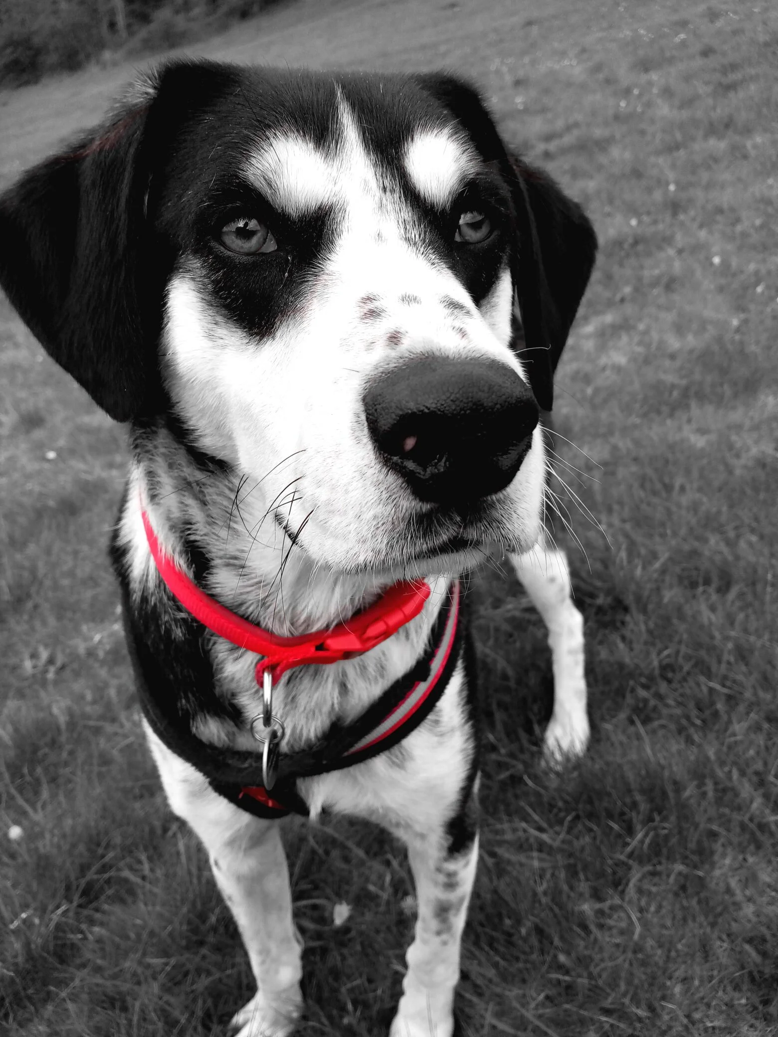 B4CC7B2C-E2B9-4807-A7B4-7CF9C11A2973