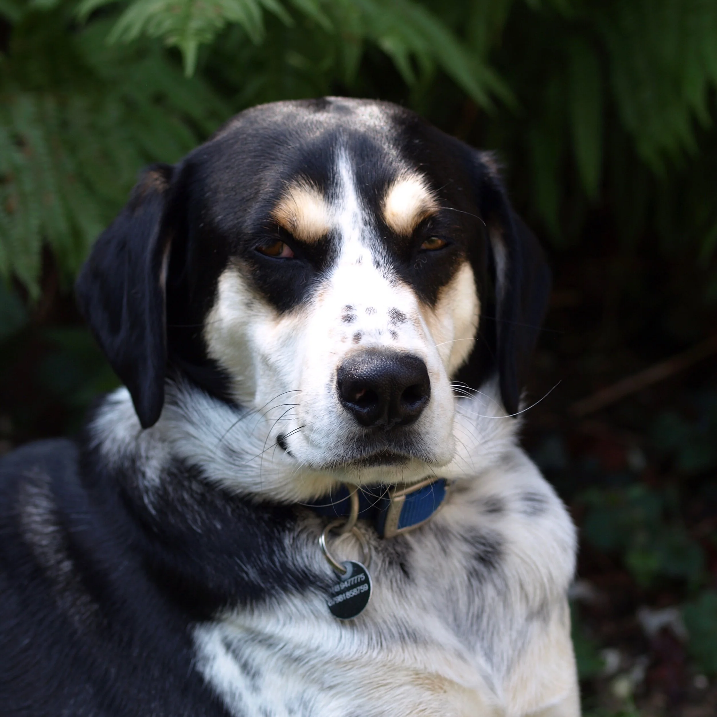 913B3EFE-EFB1-4031-B076-99FAD0BAFA89