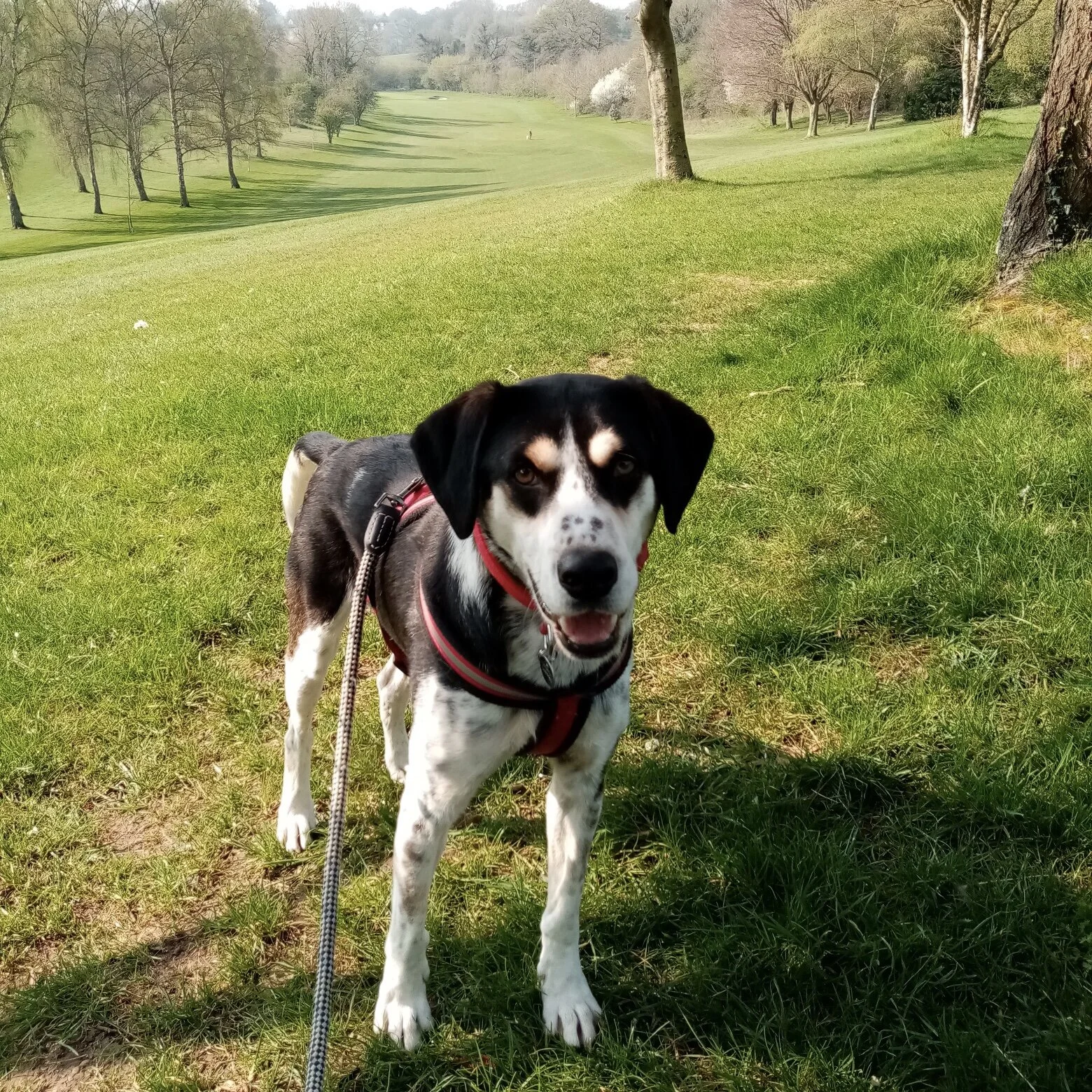 3DD847C4-636E-4EE1-AC43-7E1D2E4C5616