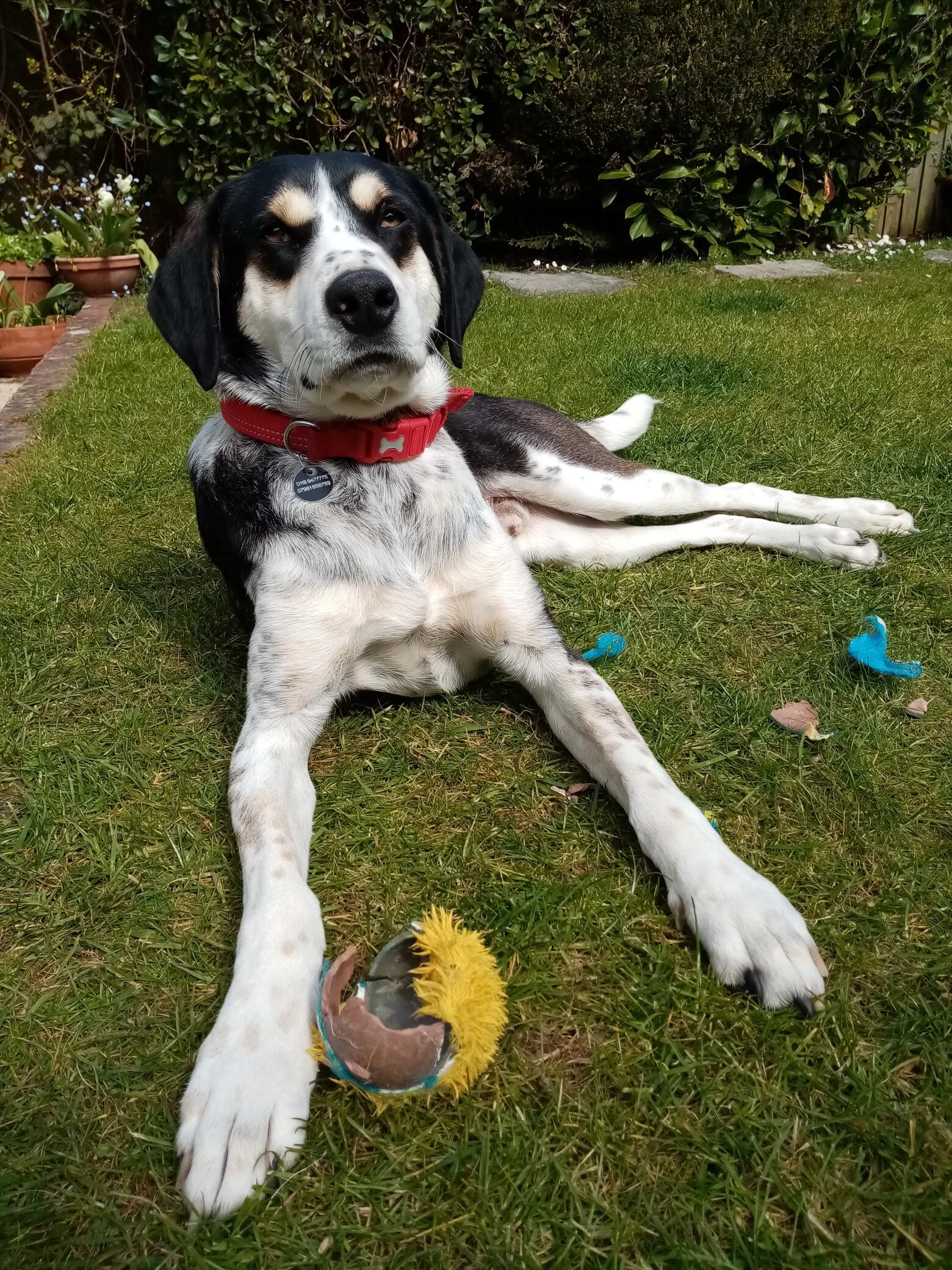 987515C8-F01E-4DBC-B92F-59D7B63F0B93