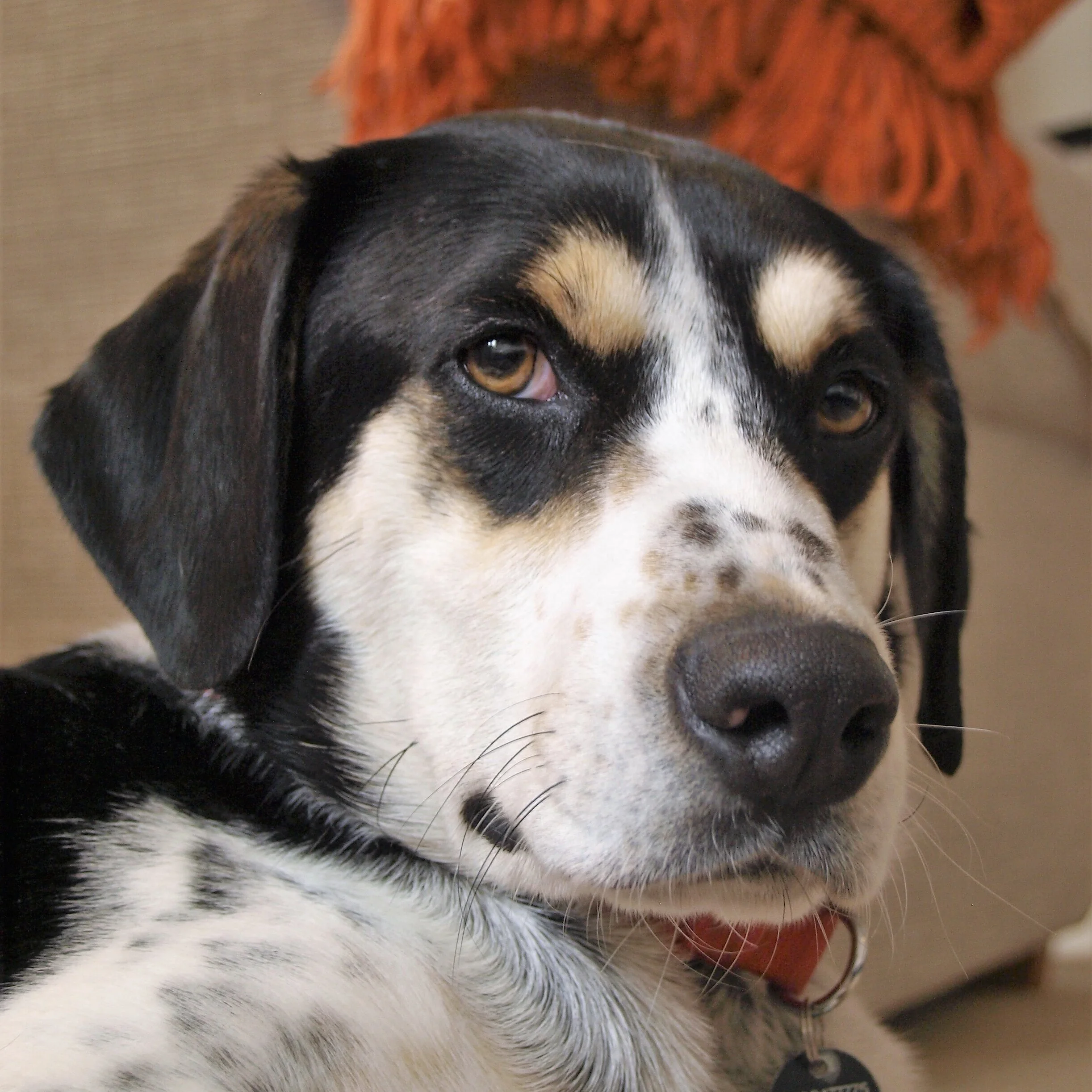 5FAC9AB1-4CFF-4D09-9D4E-103BADC15093