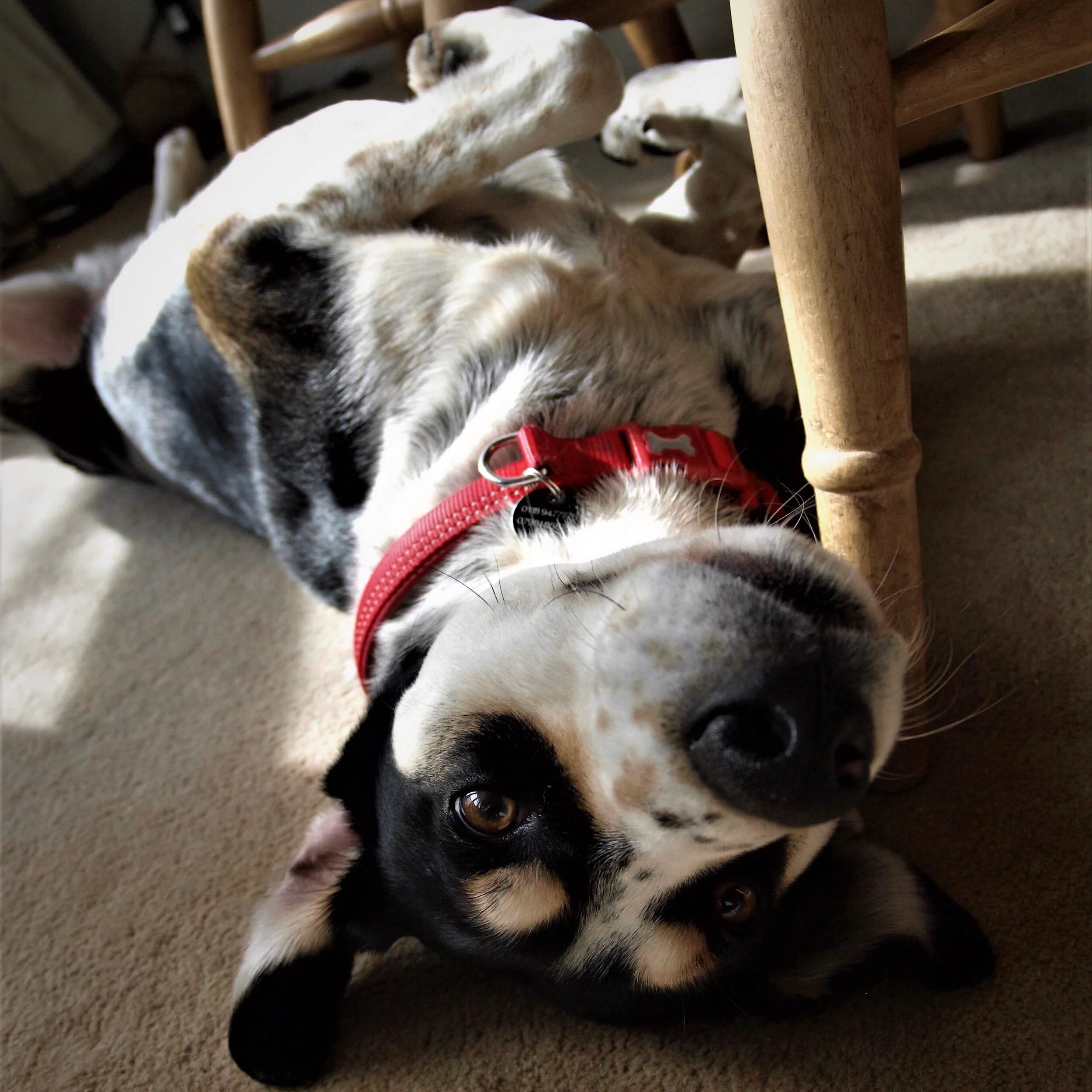 B34ABD83-0069-44B2-8D9B-BAAB2A7B4739