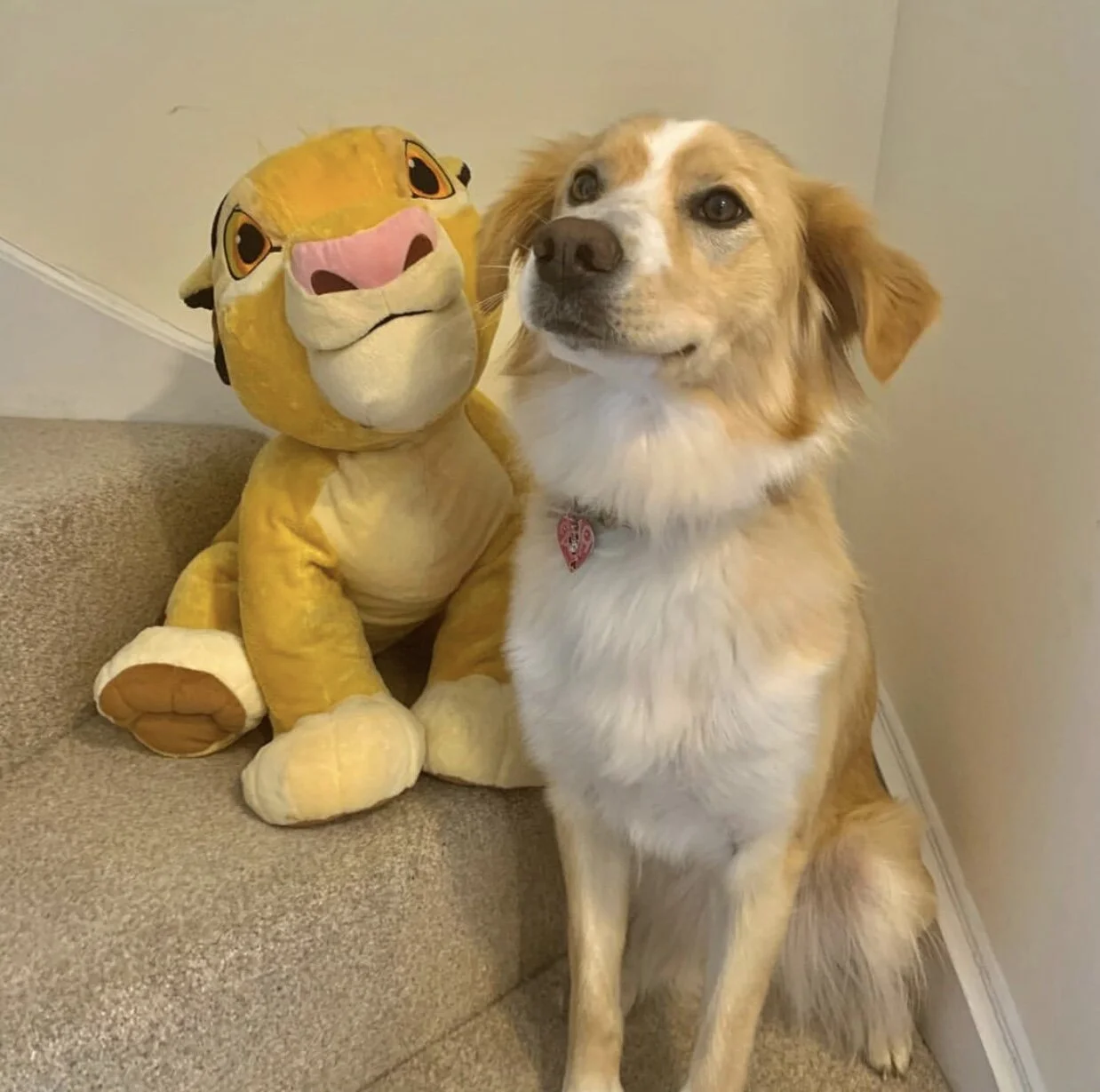 8EBFBF76-1D4A-42C9-A670-BE50223C617F