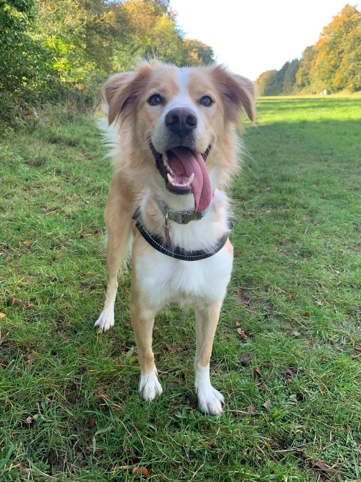 89F3AF26-573B-40F4-9530-CD76118AFE2F