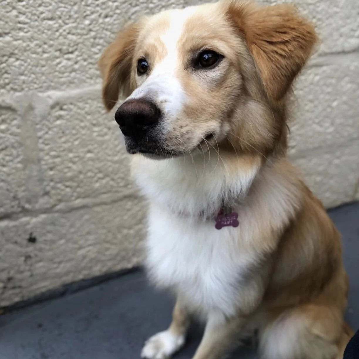 FC46AEF9-6DDA-4AFB-9852-29CFC522C91F