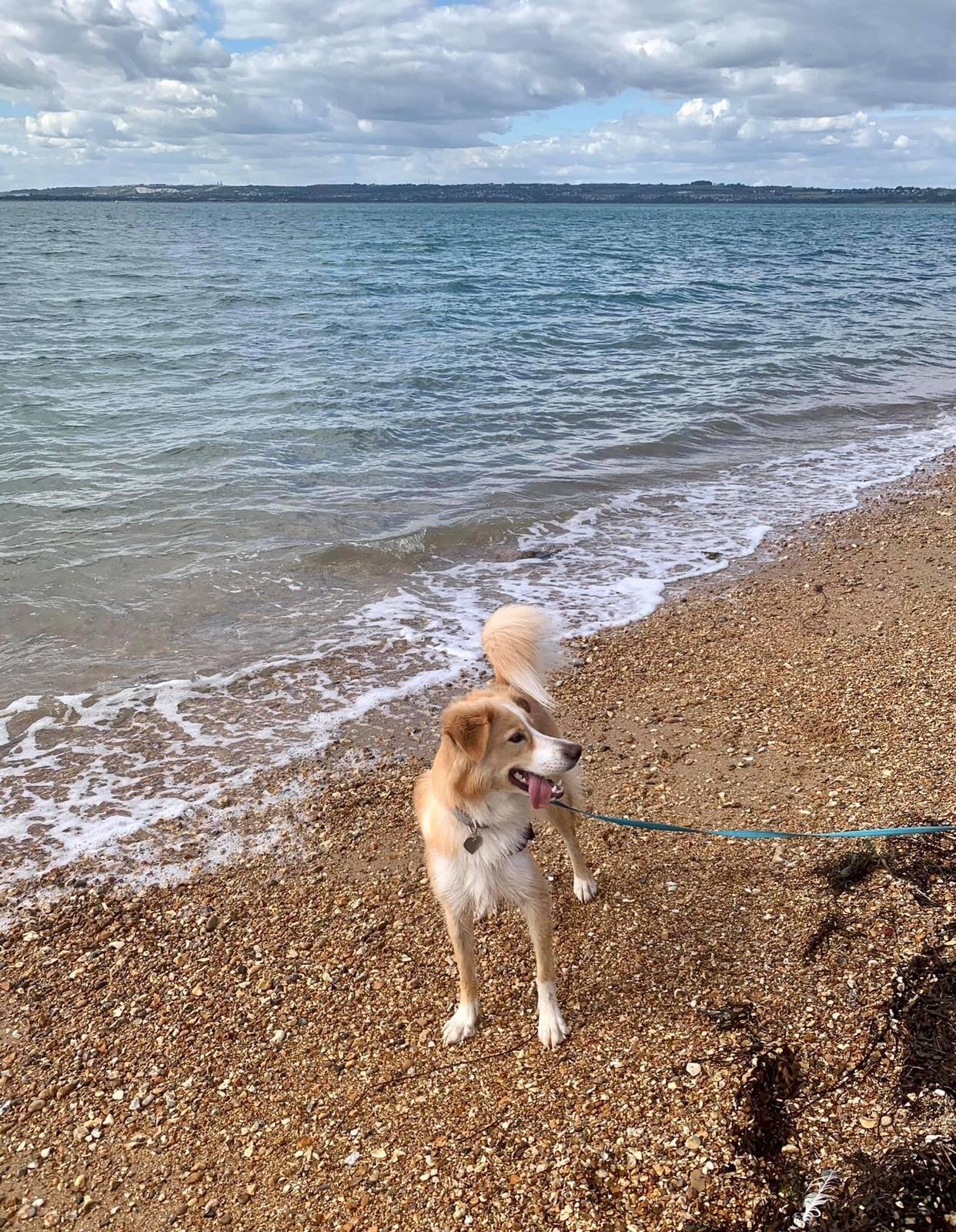 DE4EE873-3AB1-4976-A487-CF8BD3920219