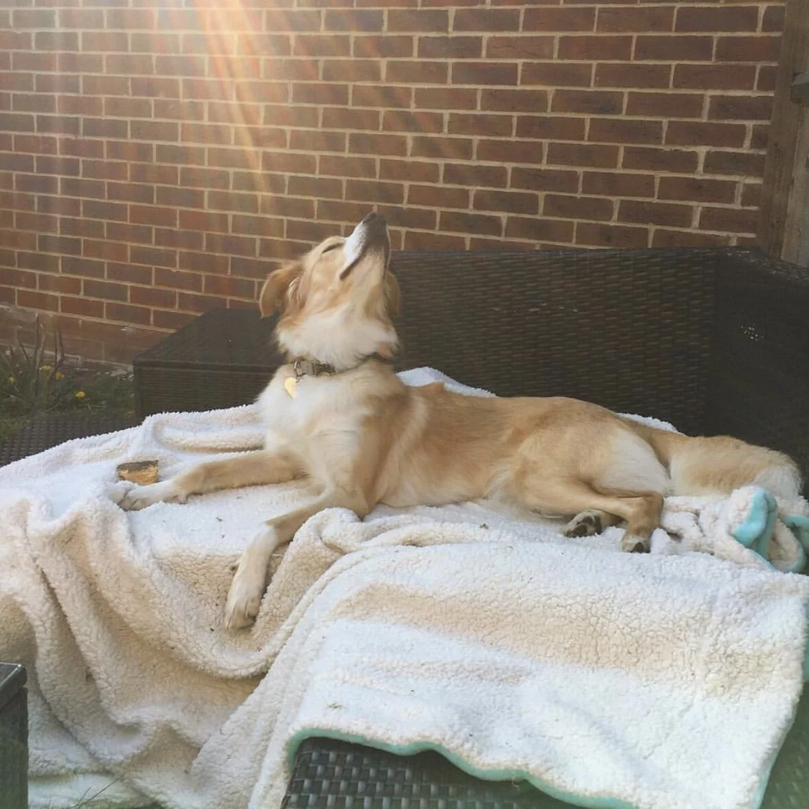 2F99395B-268C-4F59-AAF9-19166B582383