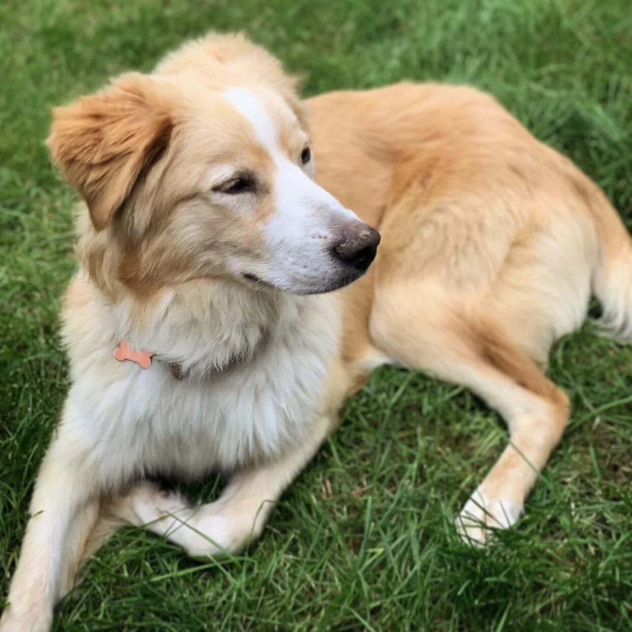 8B6A8585-BBB2-458D-97FA-D586AE47AC7D