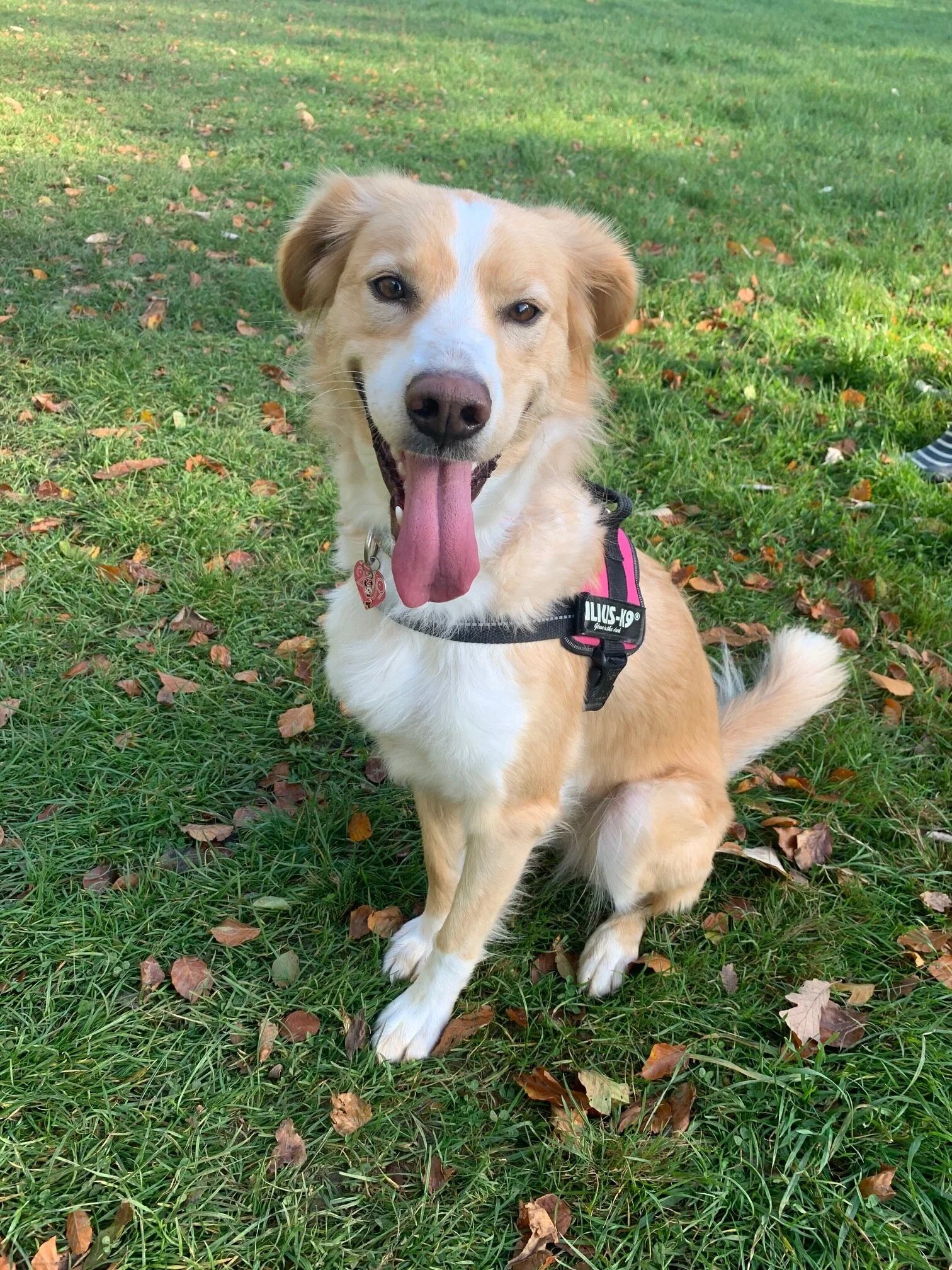 E4D39626-71C0-4DE5-9898-E8FA382EADF9