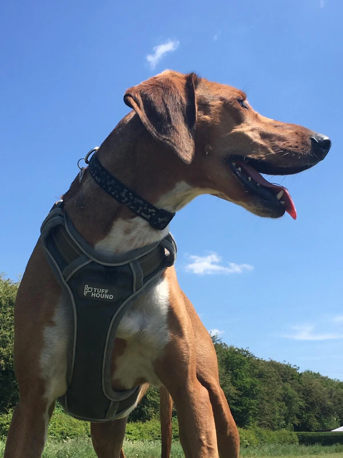 0FC7A08A-1152-41F6-BDF4-B3D3E024C8FA