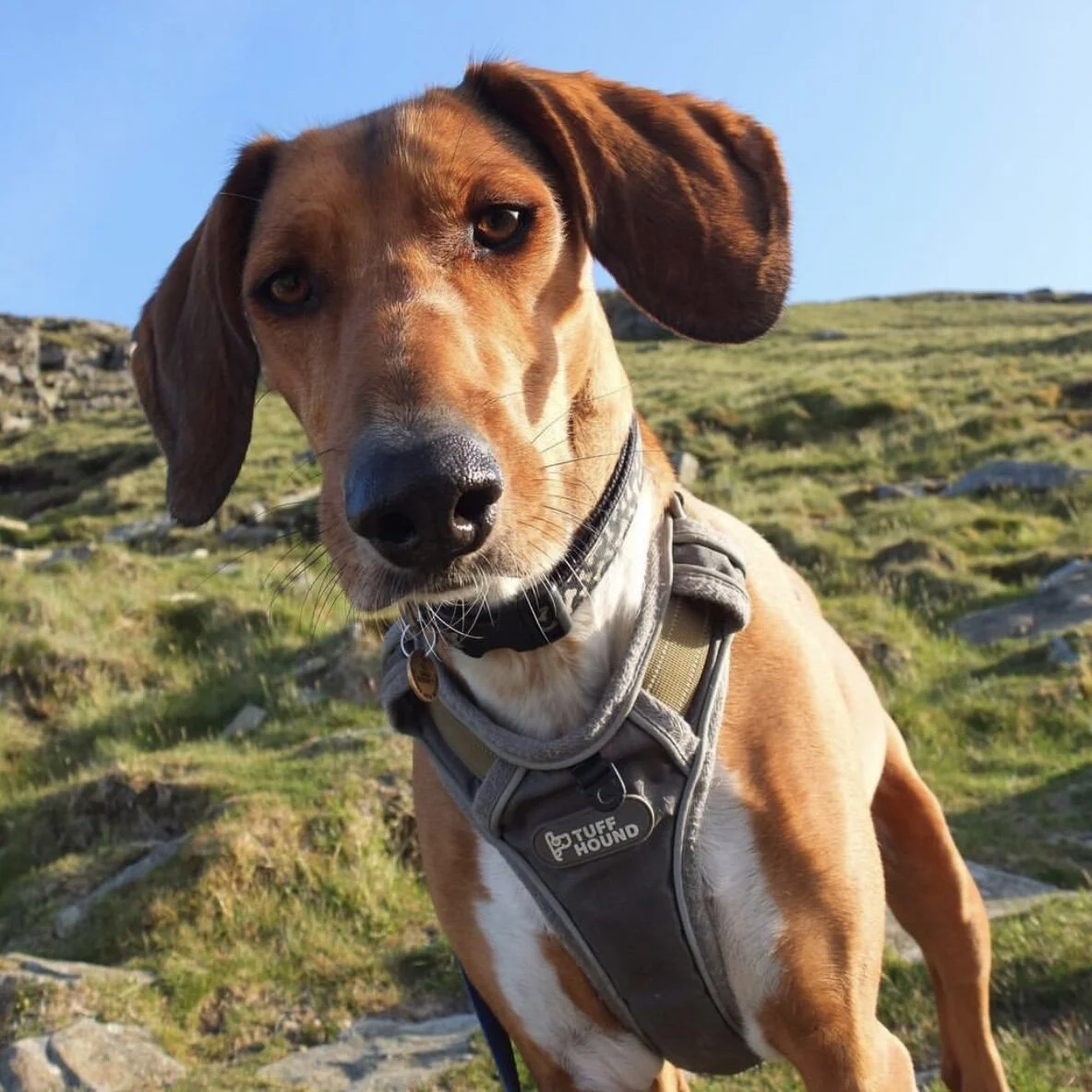 3A393FBF-B082-4874-B57E-E4AA693F4565