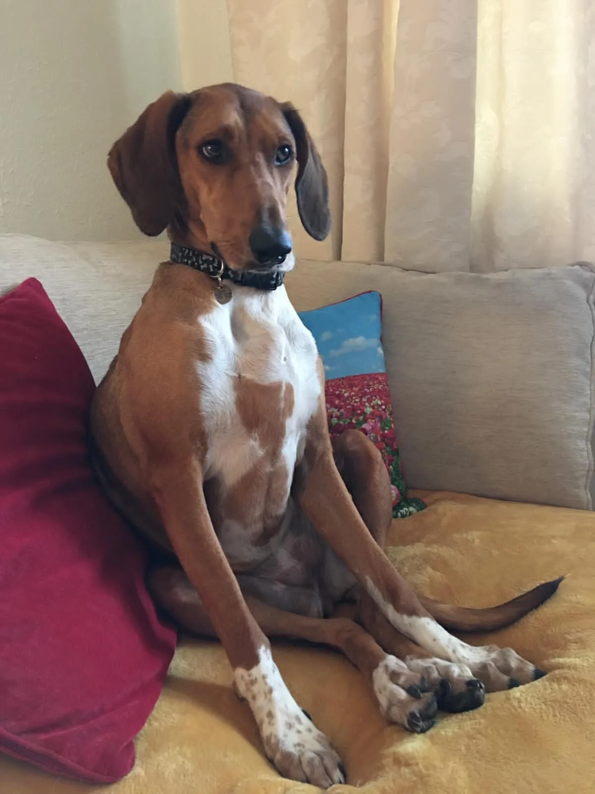 9DCAC377-B080-4DCA-8DC2-14DB7AFDB91A