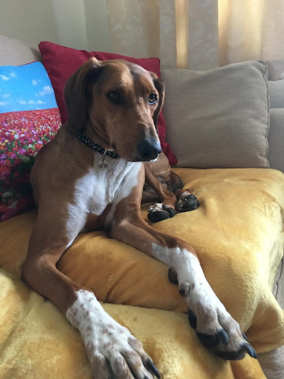 6404147D-810C-406E-B394-9F32B8478121