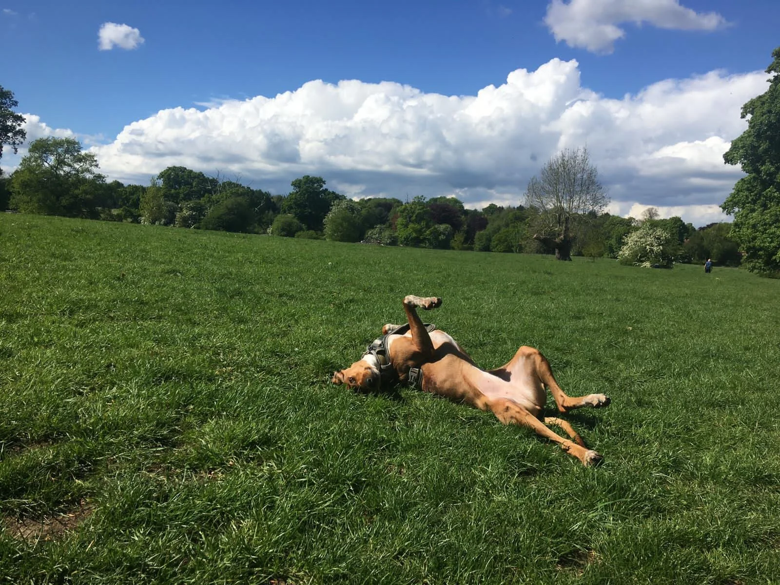 A2631345-68D6-4227-A15A-6B2404BDB197