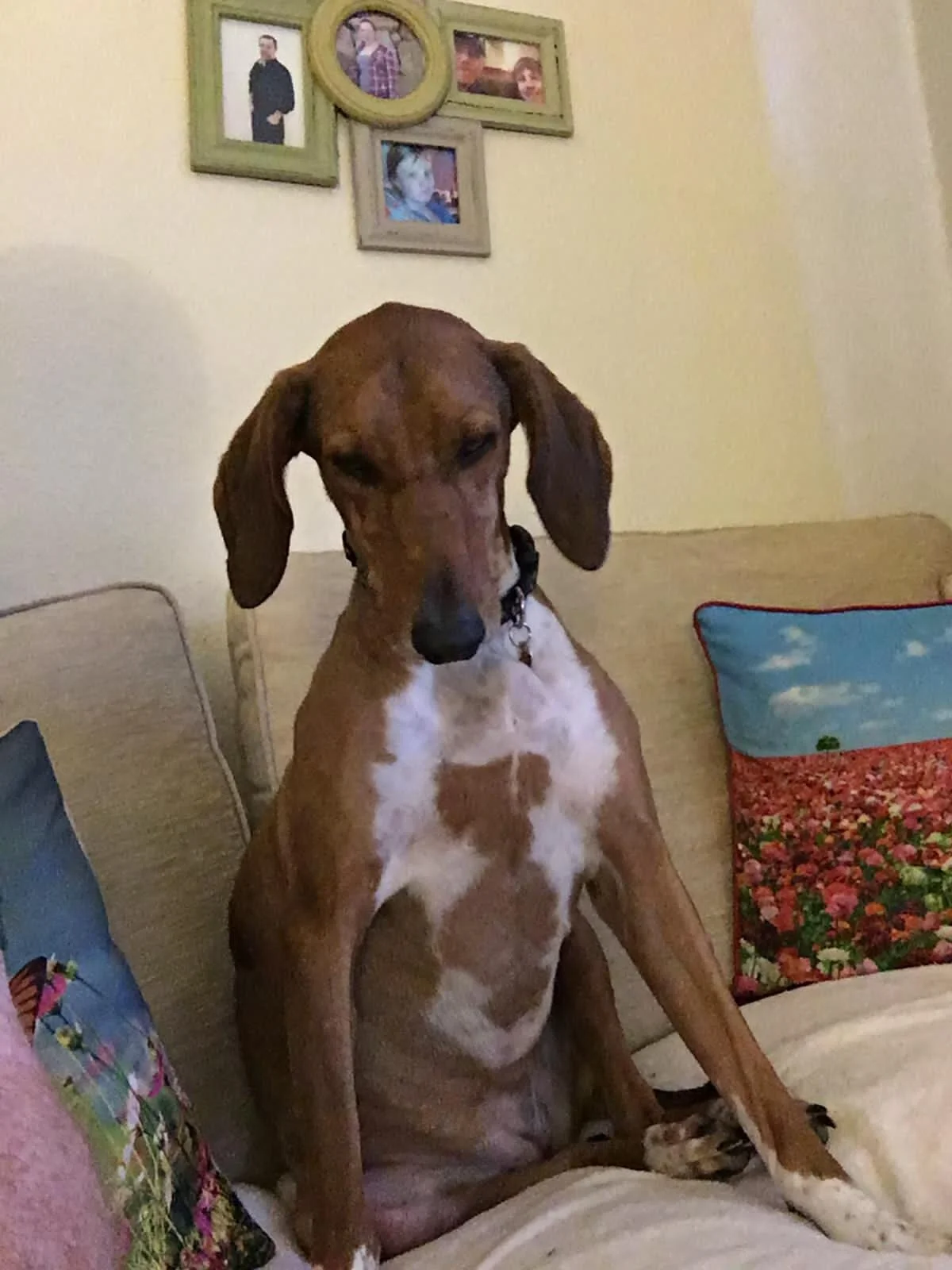 6C4962C2-CF79-4FBD-BA8F-9E221C310CC1