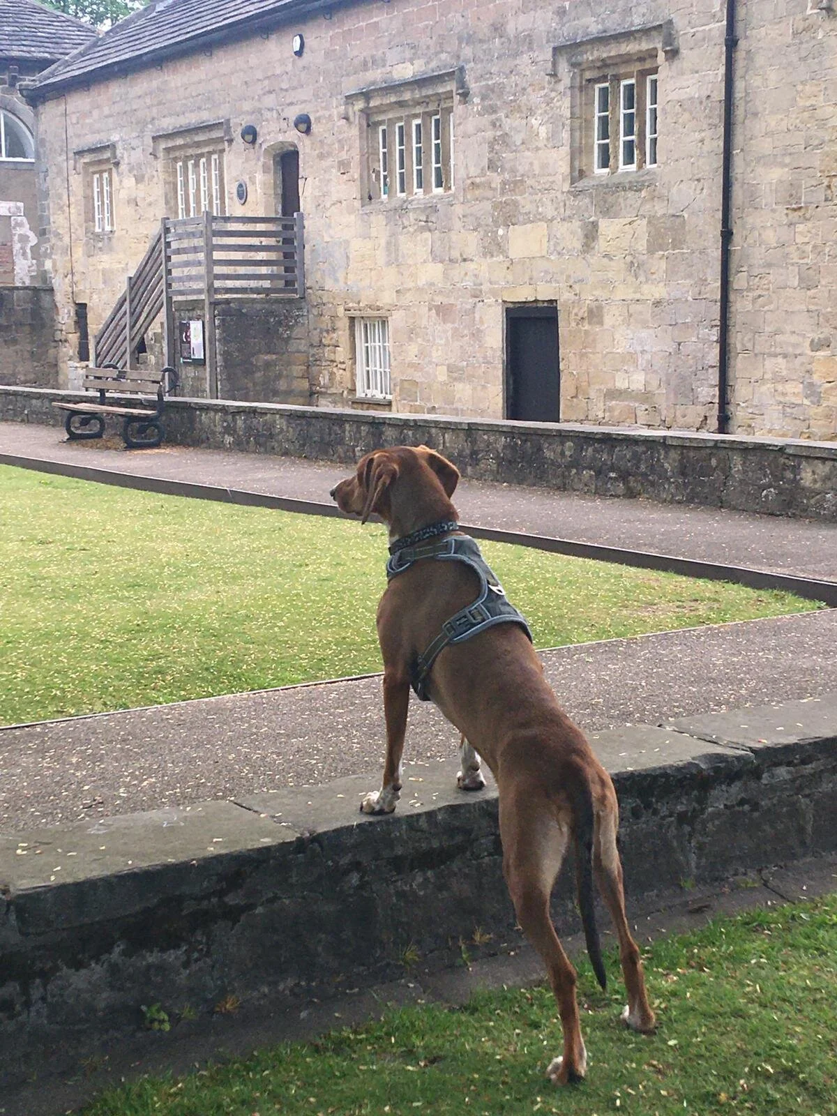 1BDDC1CD-D2EC-4447-AB09-BA1157B57628