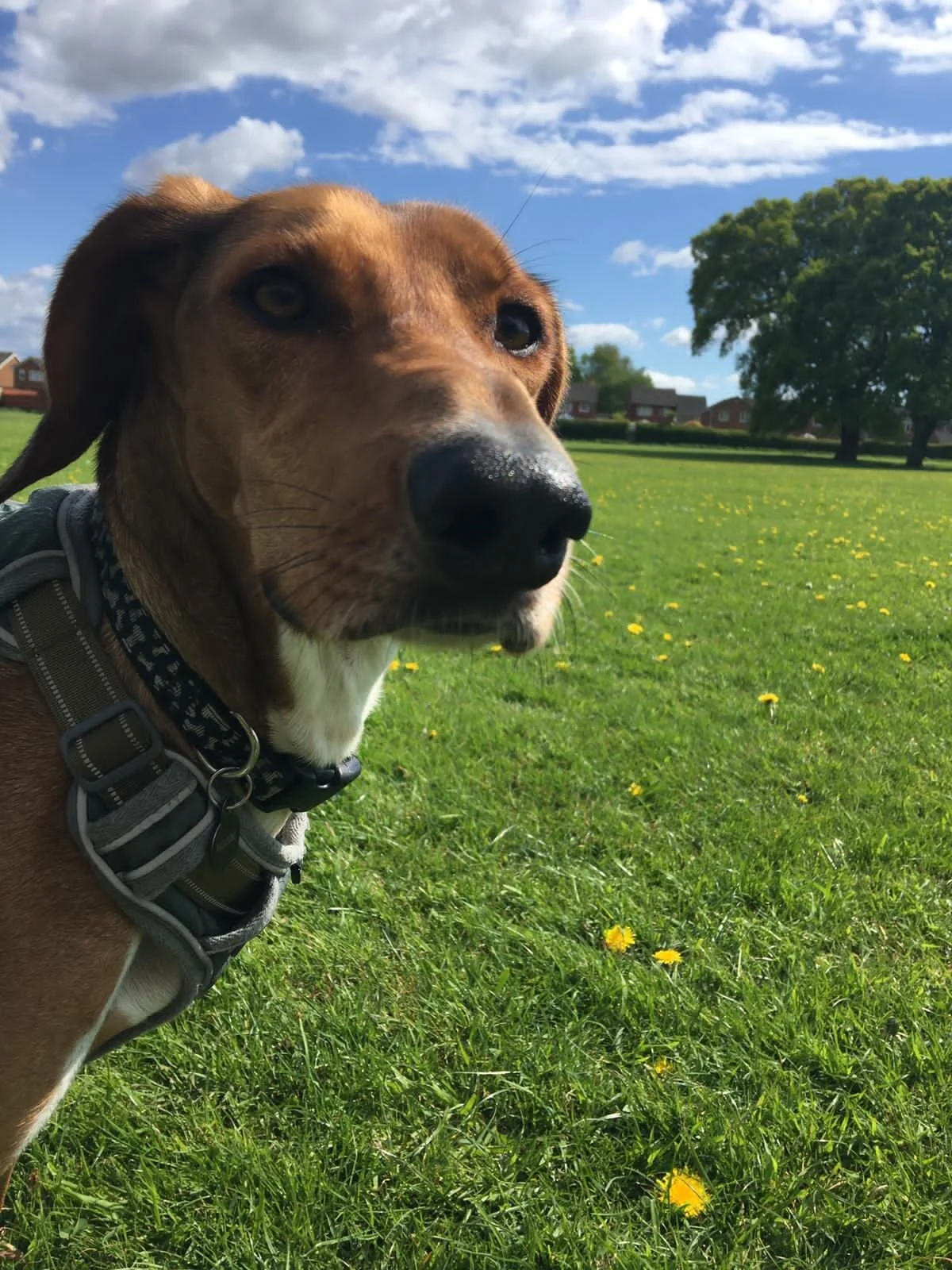 E248C353-6FE0-4B9C-AC3C-A5B47486A361