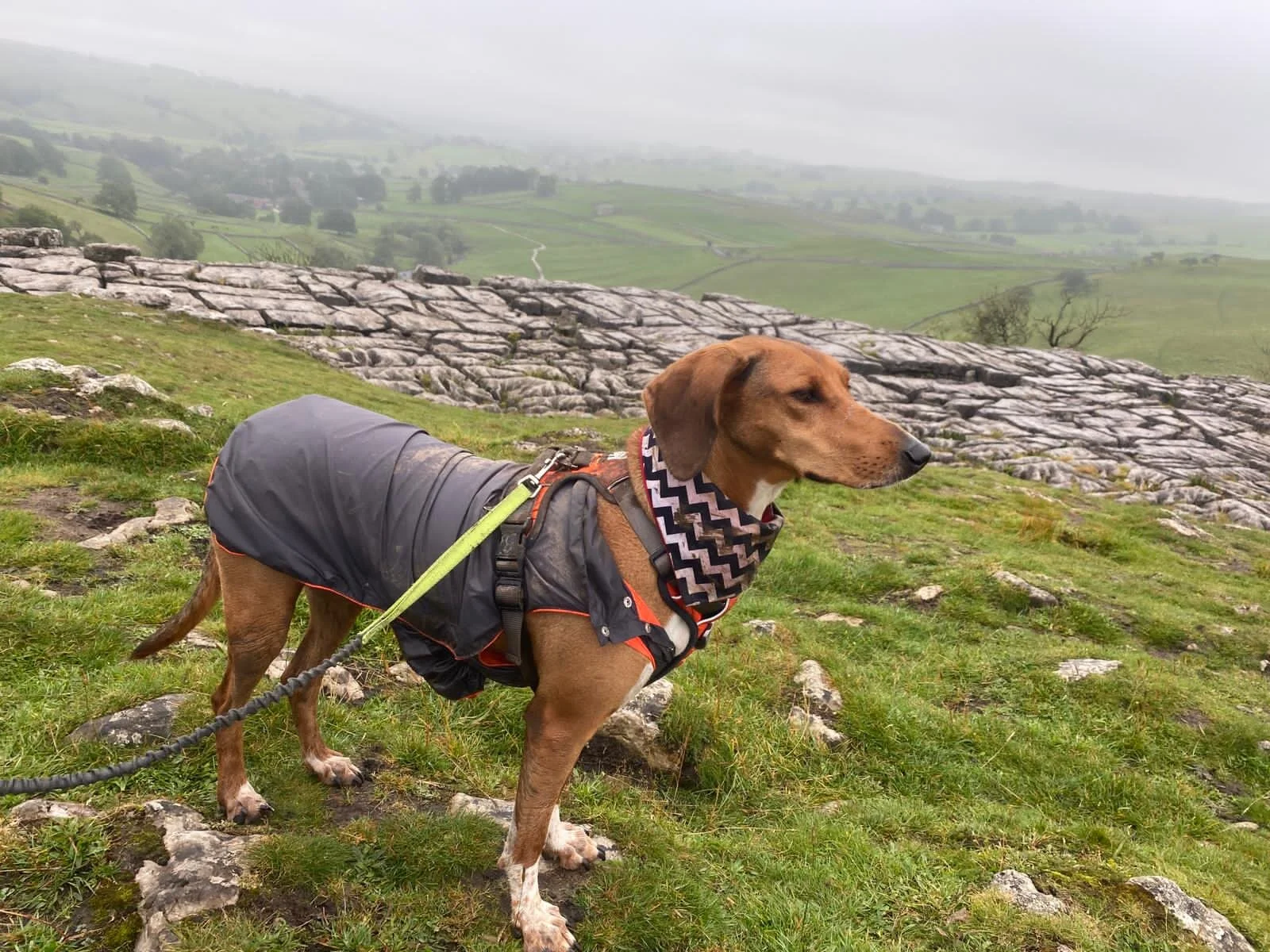 794F9F8D-474B-485D-AB03-7BE9E0B88B74