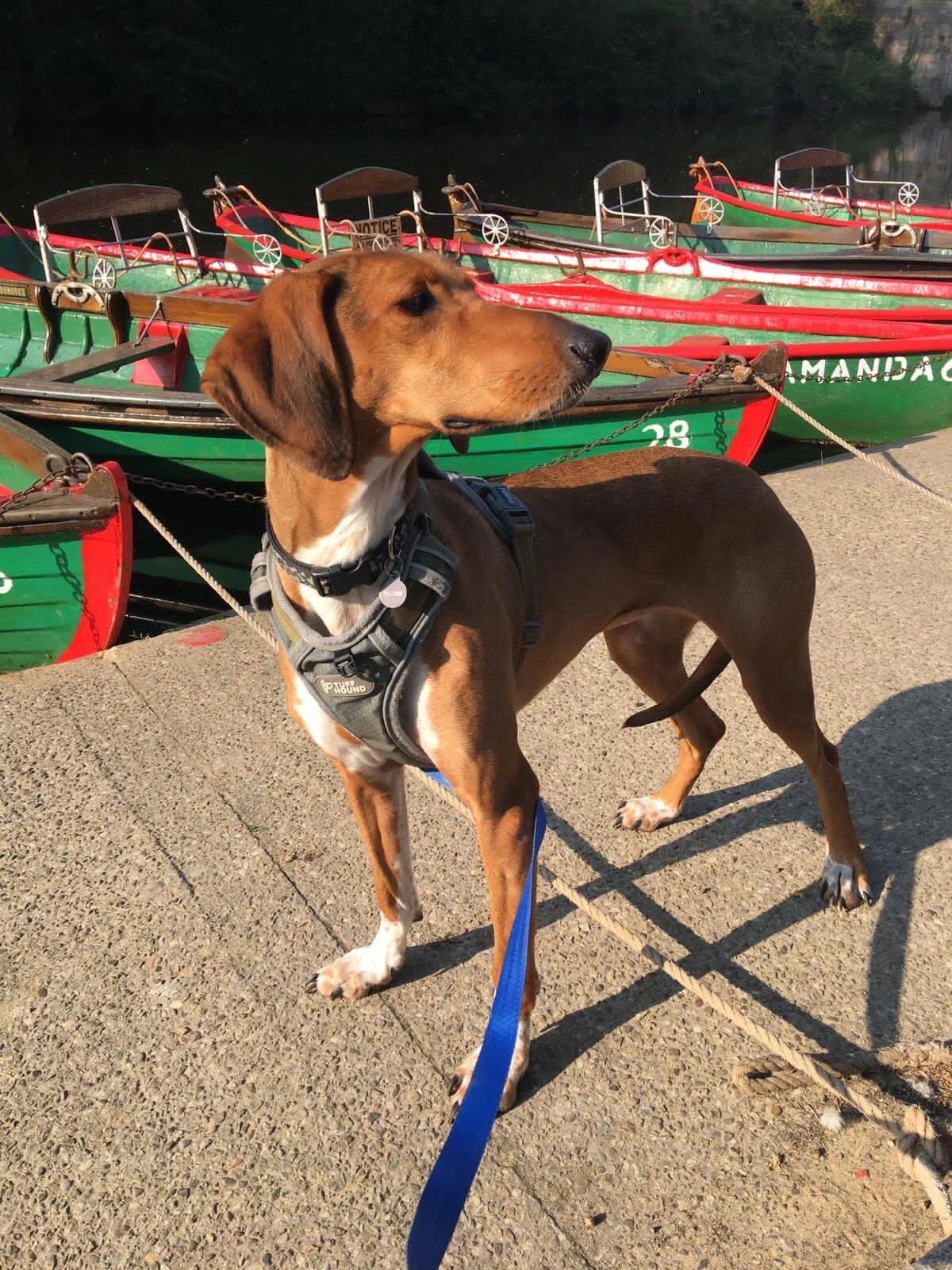 787743FA-4D31-4175-AD00-65ED736F3A1F