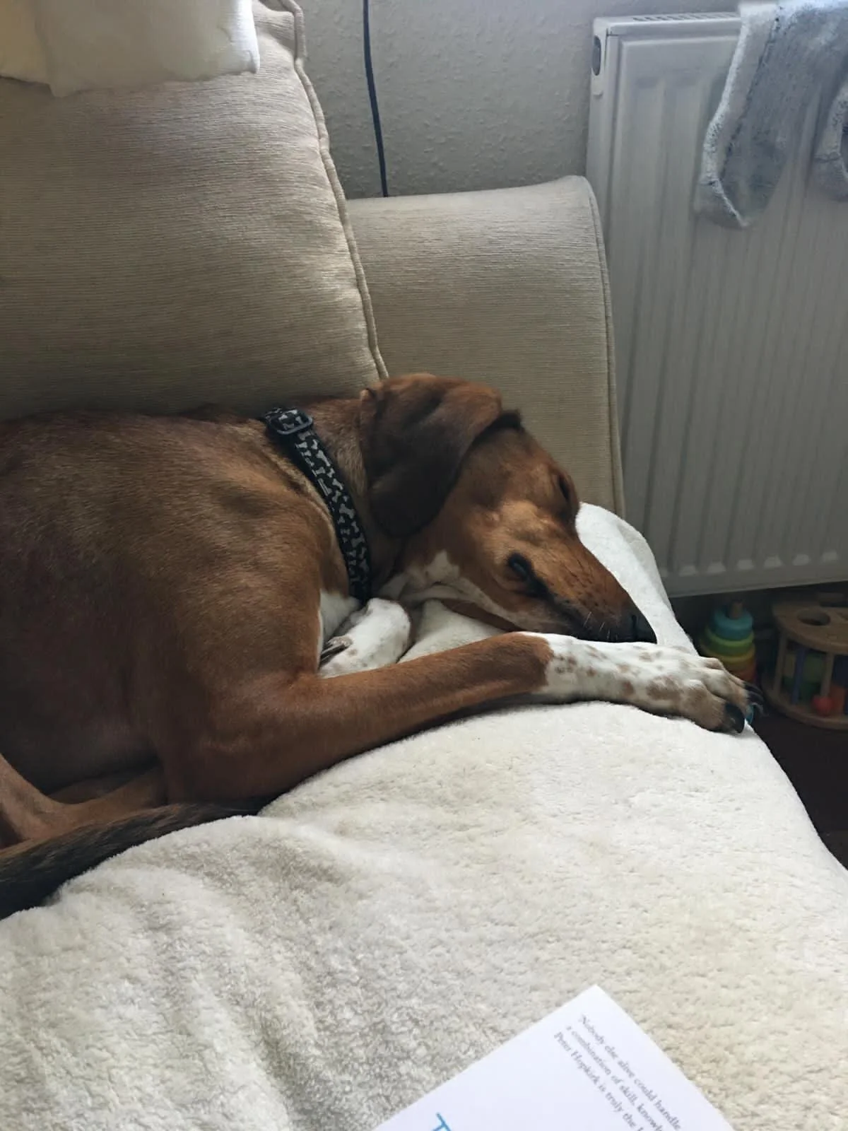 264D87E9-2594-4C4E-87FA-986BD285789D