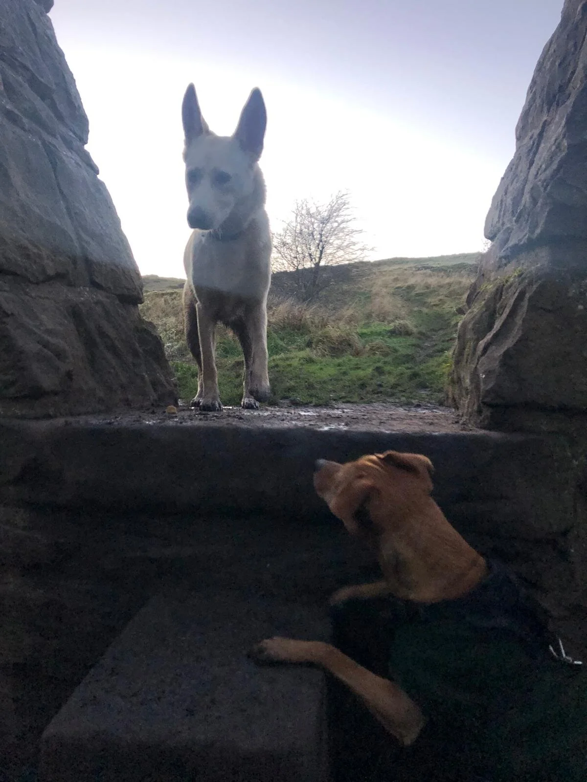 C556E929-6489-44BE-8CA5-1C952E0D8941