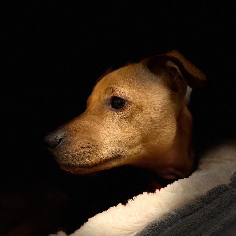 8F9D469C-DCCA-4624-B3C0-865D62C80A50