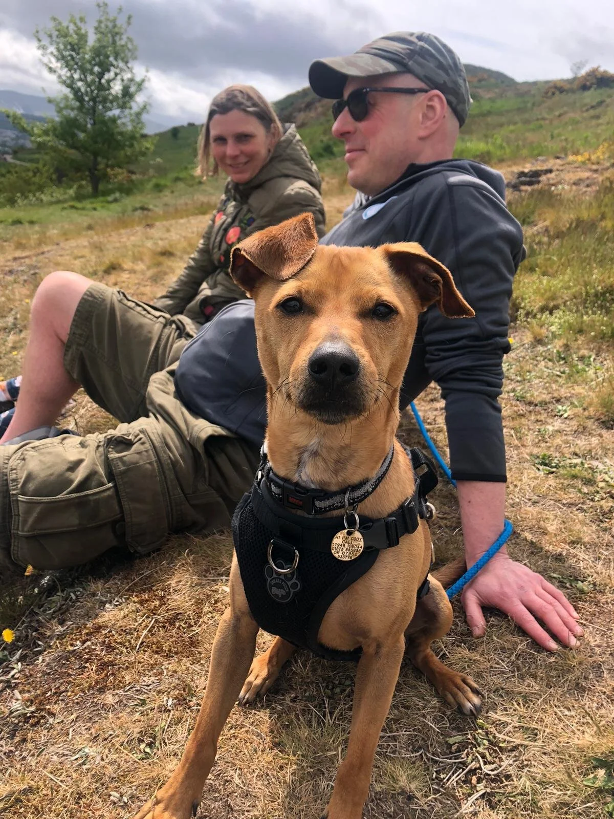 4AB6ECFB-3AB9-4DF3-A9D0-63E1820FE687