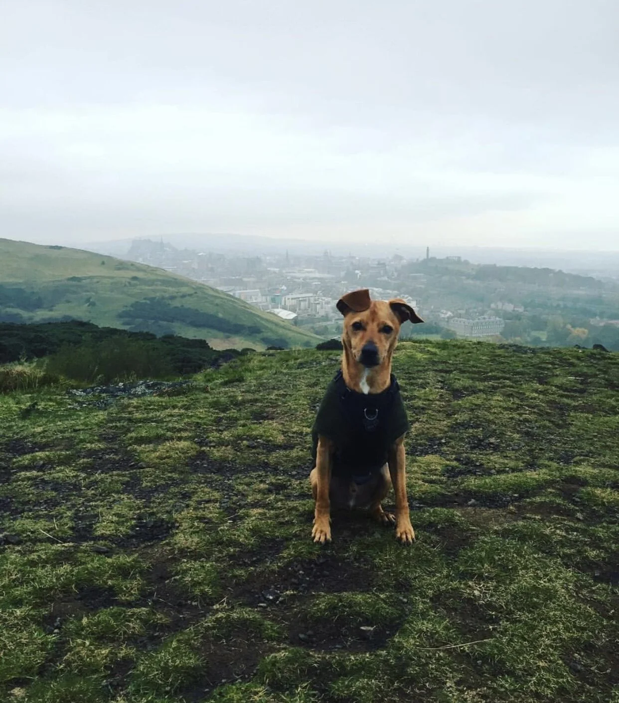 E14001C7-4F80-4E2F-8C9A-FCCA0277F2AA