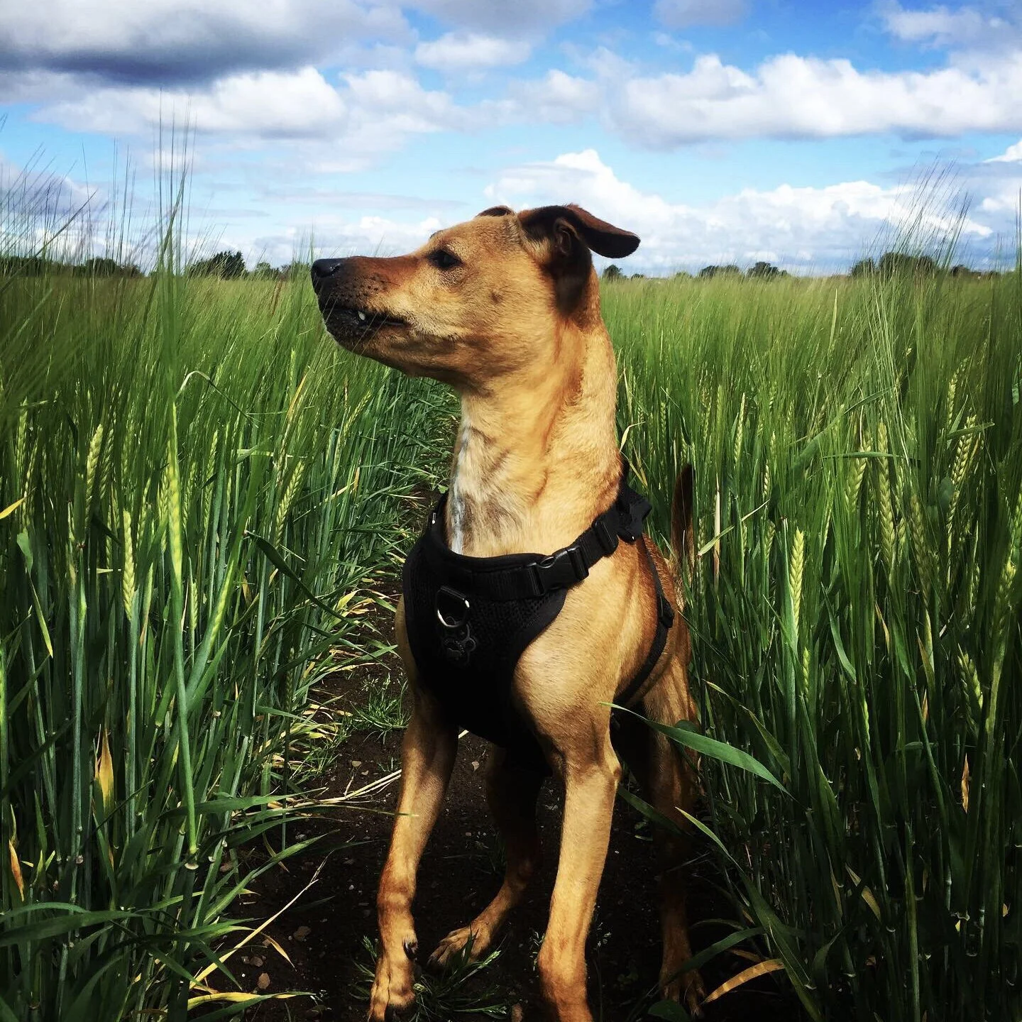 08EE4666-0FA9-431E-A63E-4675E38915B6