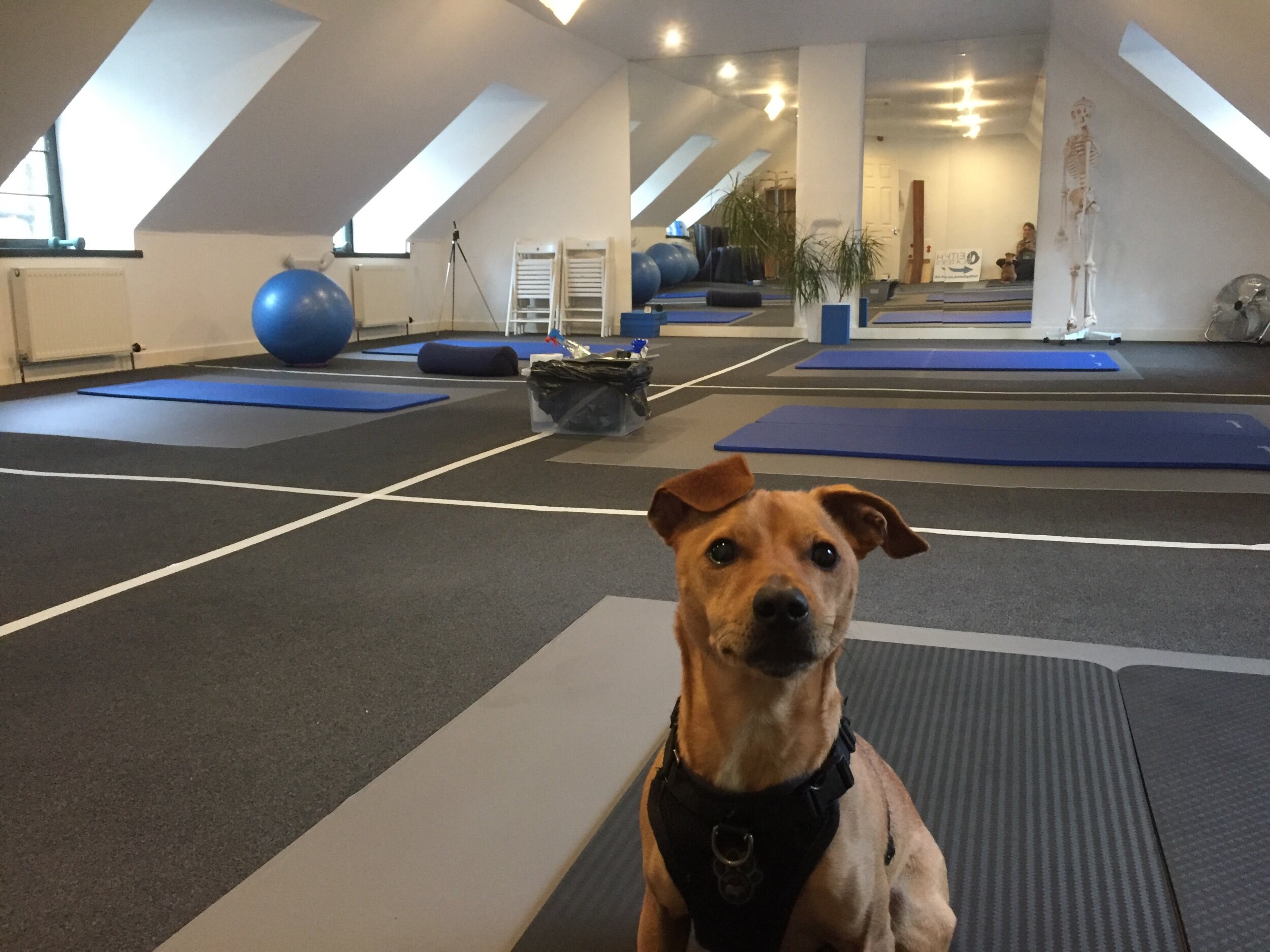 592C8849-A2A0-4A48-A4F4-EEFCDDECDB6C