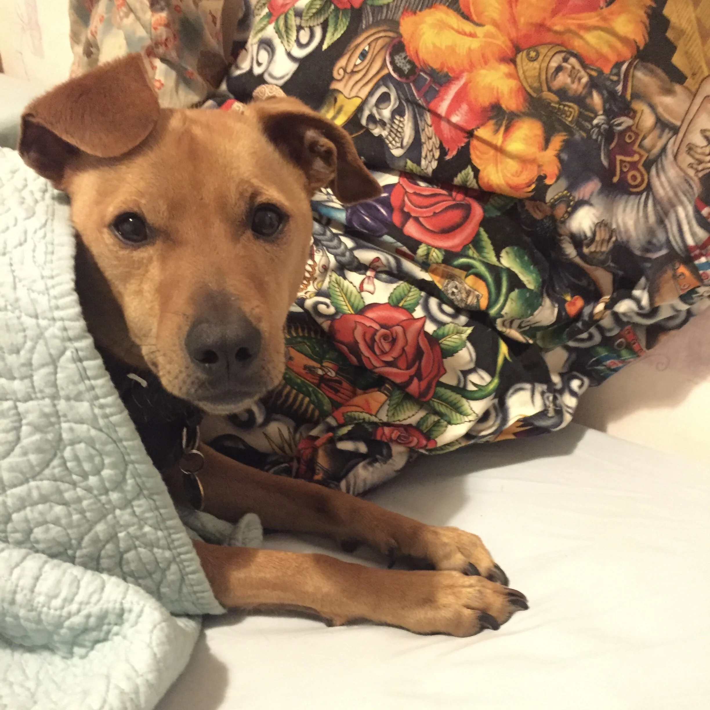 092600AF-71DC-4F29-B0E0-5FD4DA73868F