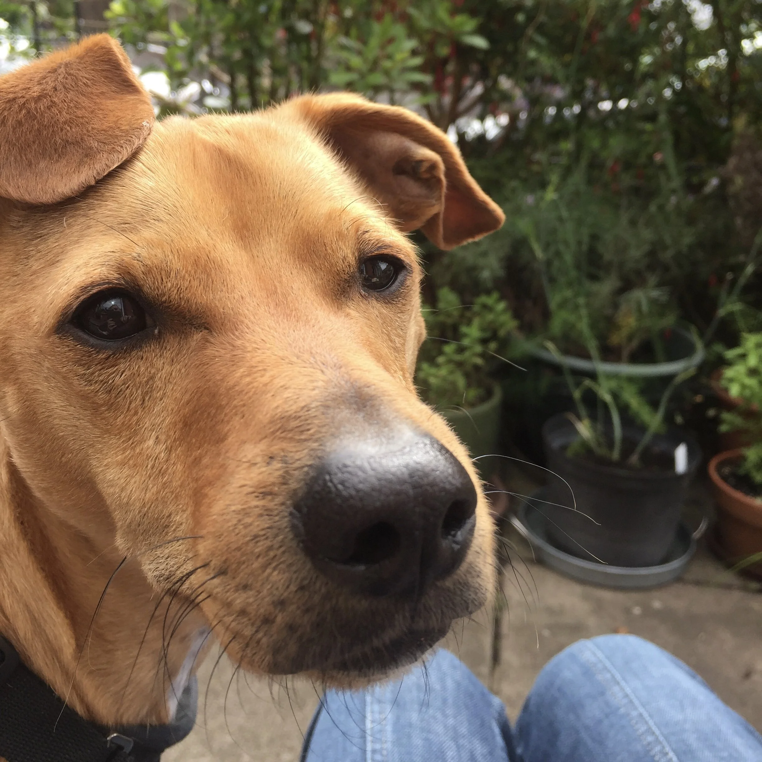 FD97F0E6-585C-4A8D-AEC6-6B3782EC1471