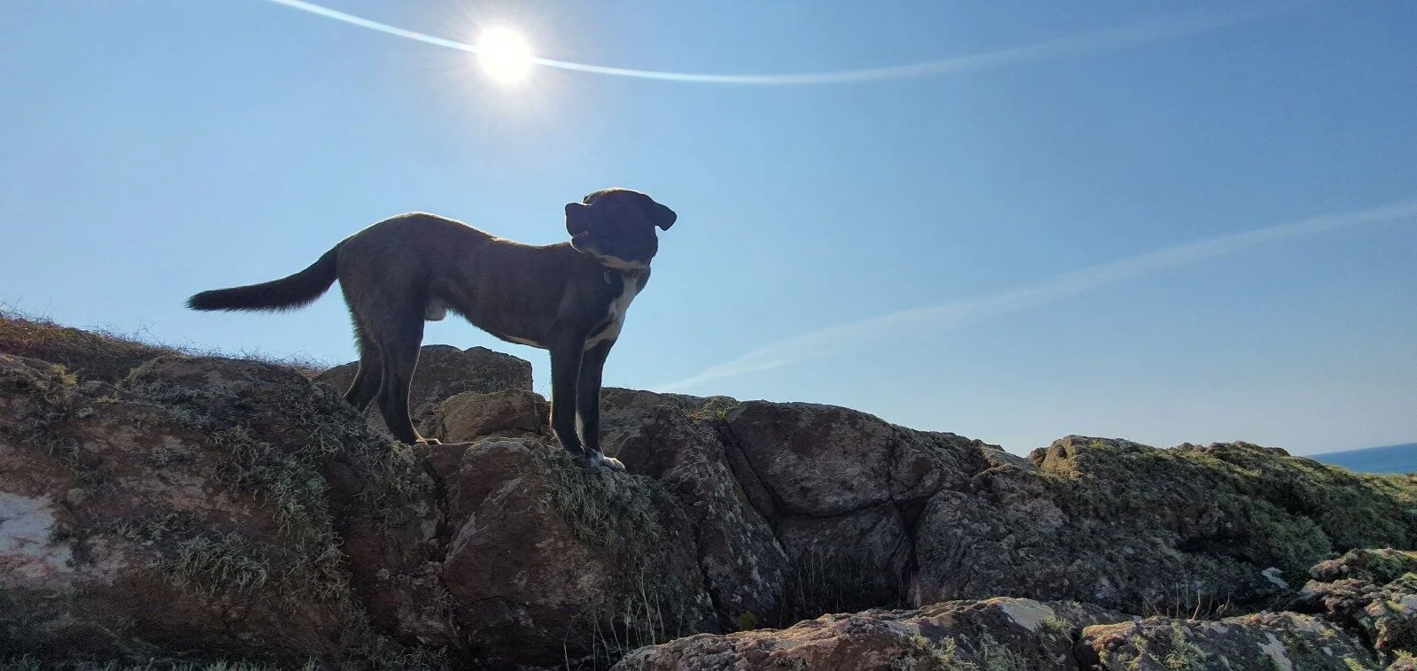 E48710F3-CC5B-42AF-AB5F-EEE5E8C9E1D6