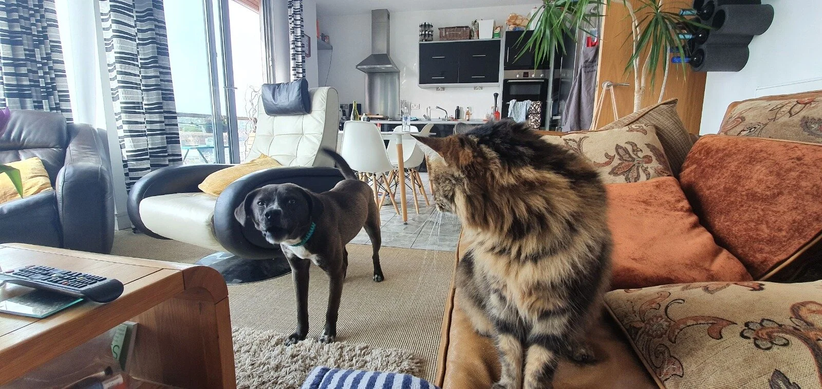 4B0E170A-E591-4DB2-A004-D14FF14E6DD2