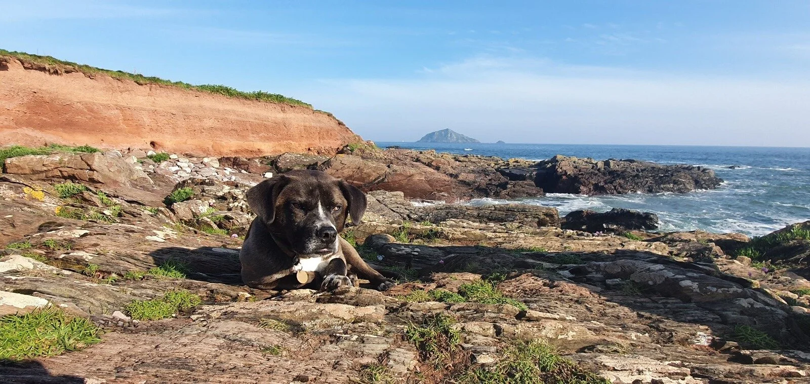 961ADED2-3658-4649-854C-3BADA051536D