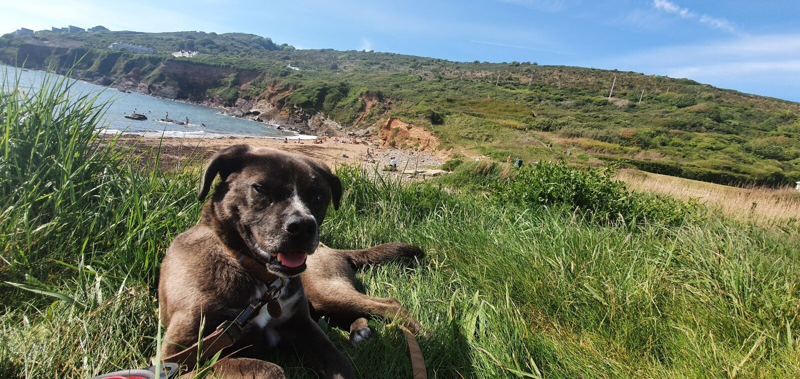 2D801C49-EAA0-44ED-B927-FB9350AC1250