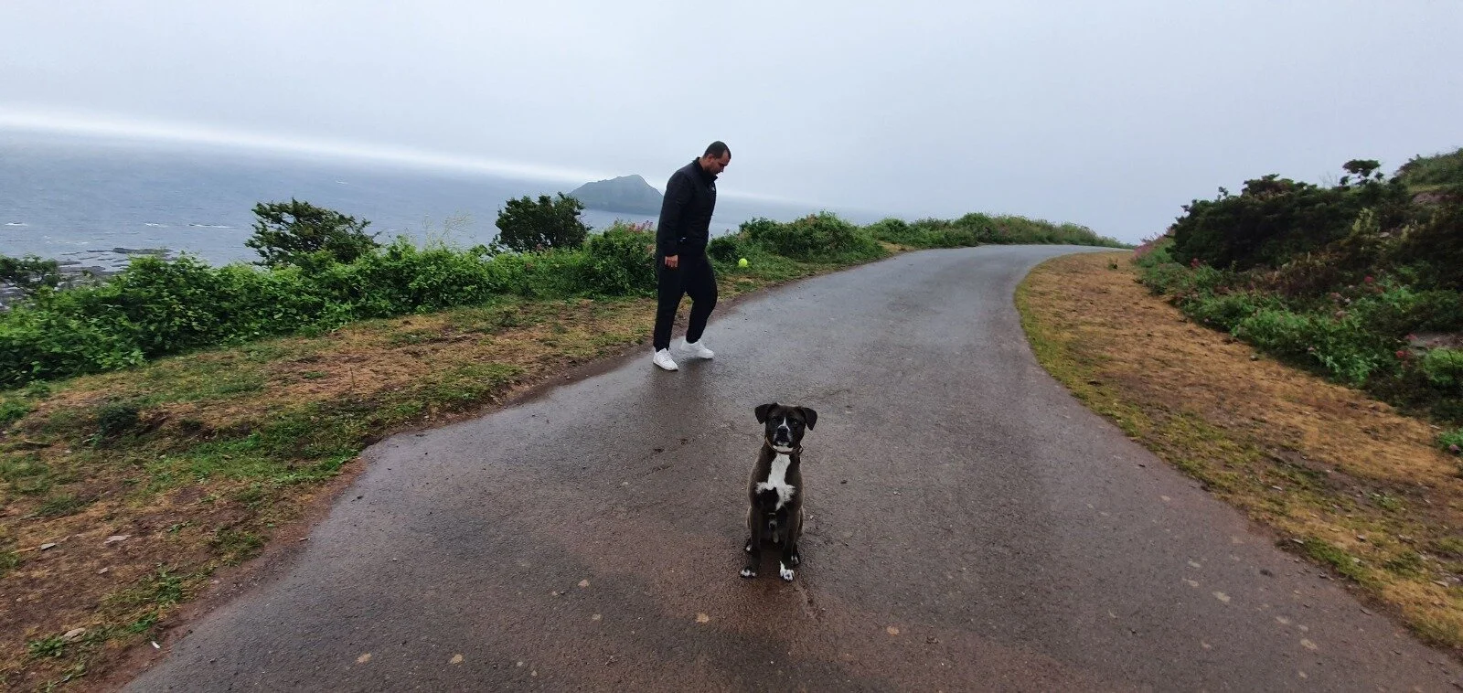 AD2EDFBC-2CF4-4931-8067-7A1284473CD4