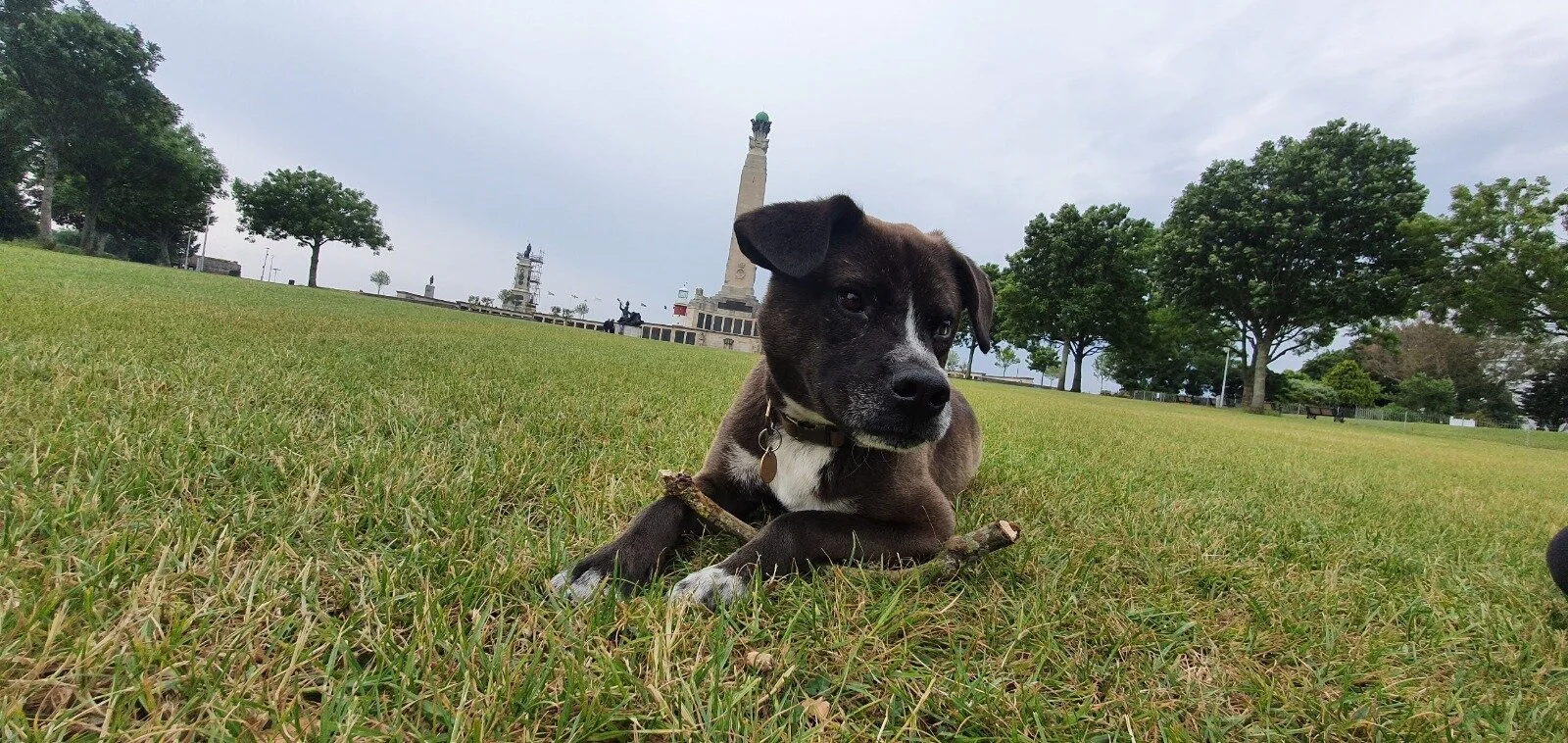 0579274D-0EC7-49AC-9A24-ECDC755CBE38