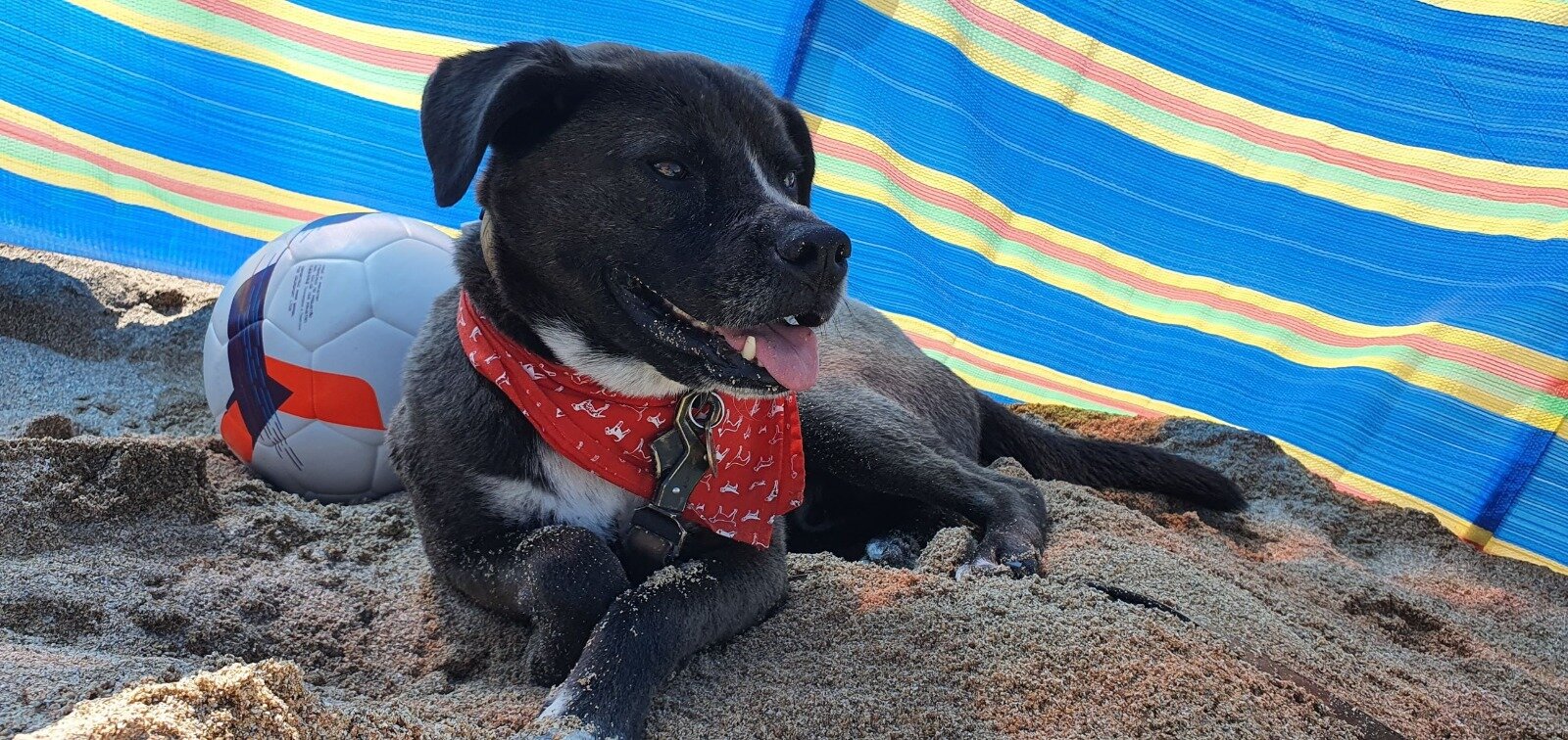 34DBCFEF-E784-443F-84BB-D433C519601C