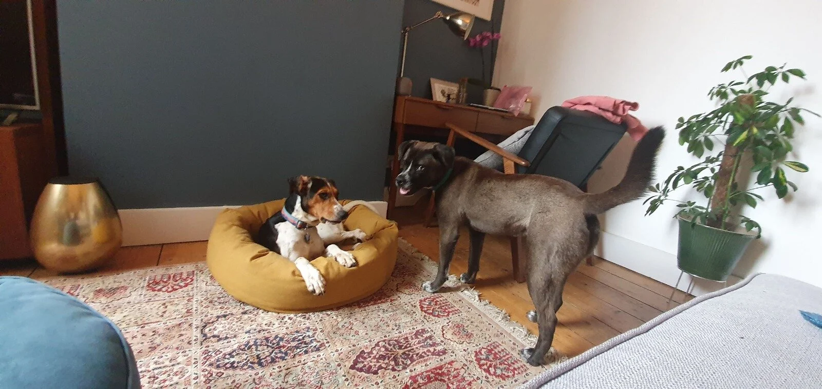 C00C8137-27DF-4C00-87EC-1EC1B98F3954