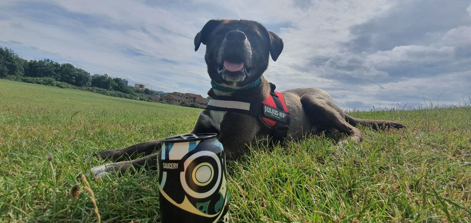 0BBAB89A-3D15-49D2-B411-E48AF4165773