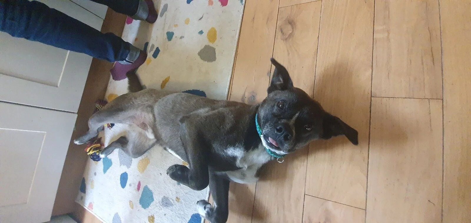 26FE7E5C-9484-4BF0-AA50-2FBB4C1F86A4