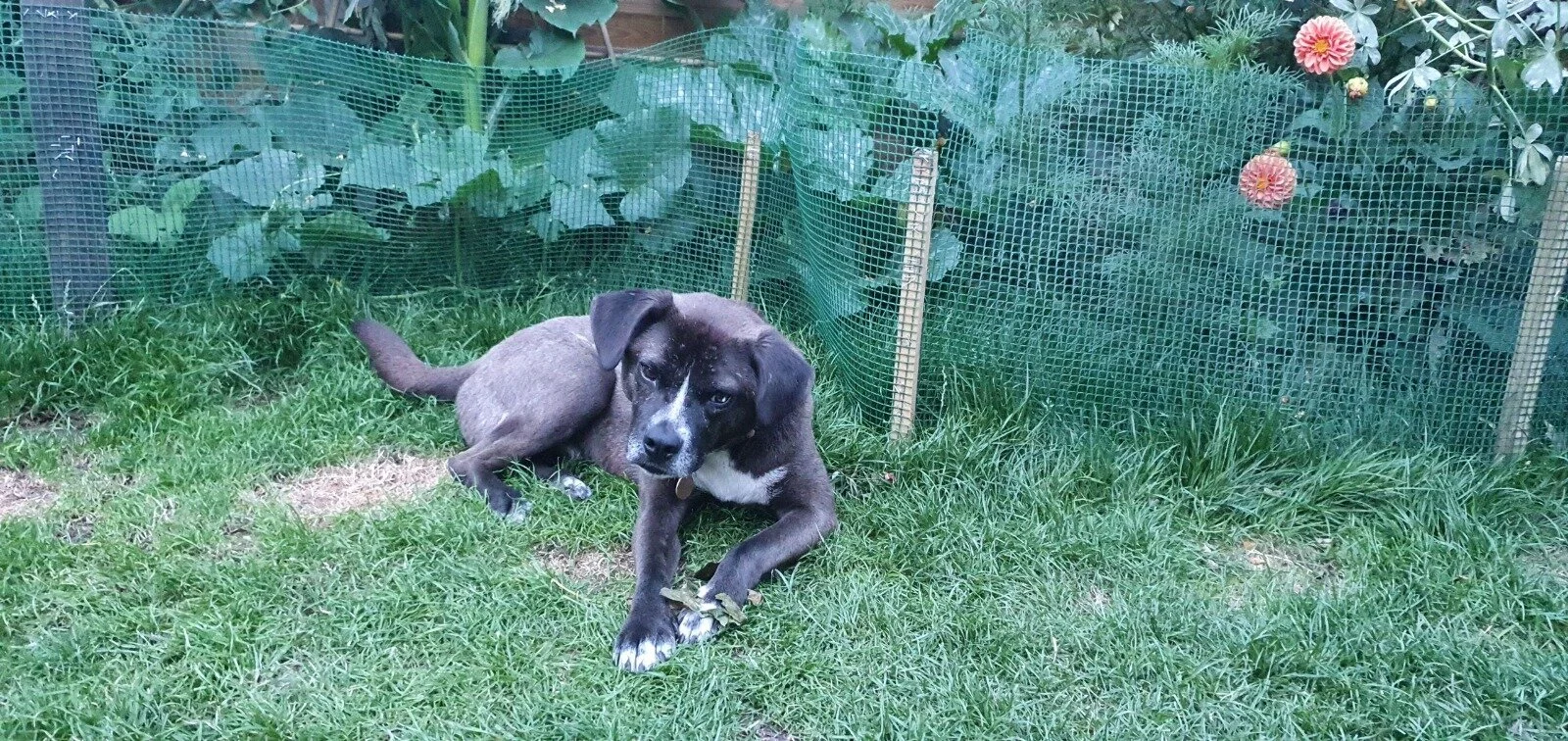 0AF2DCA0-B7BB-46B8-8ADD-7E653C157B24