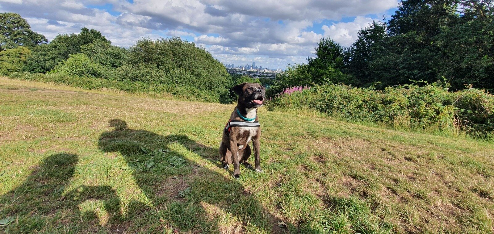 A5BFD15A-346B-4248-85F9-47D650FC2205