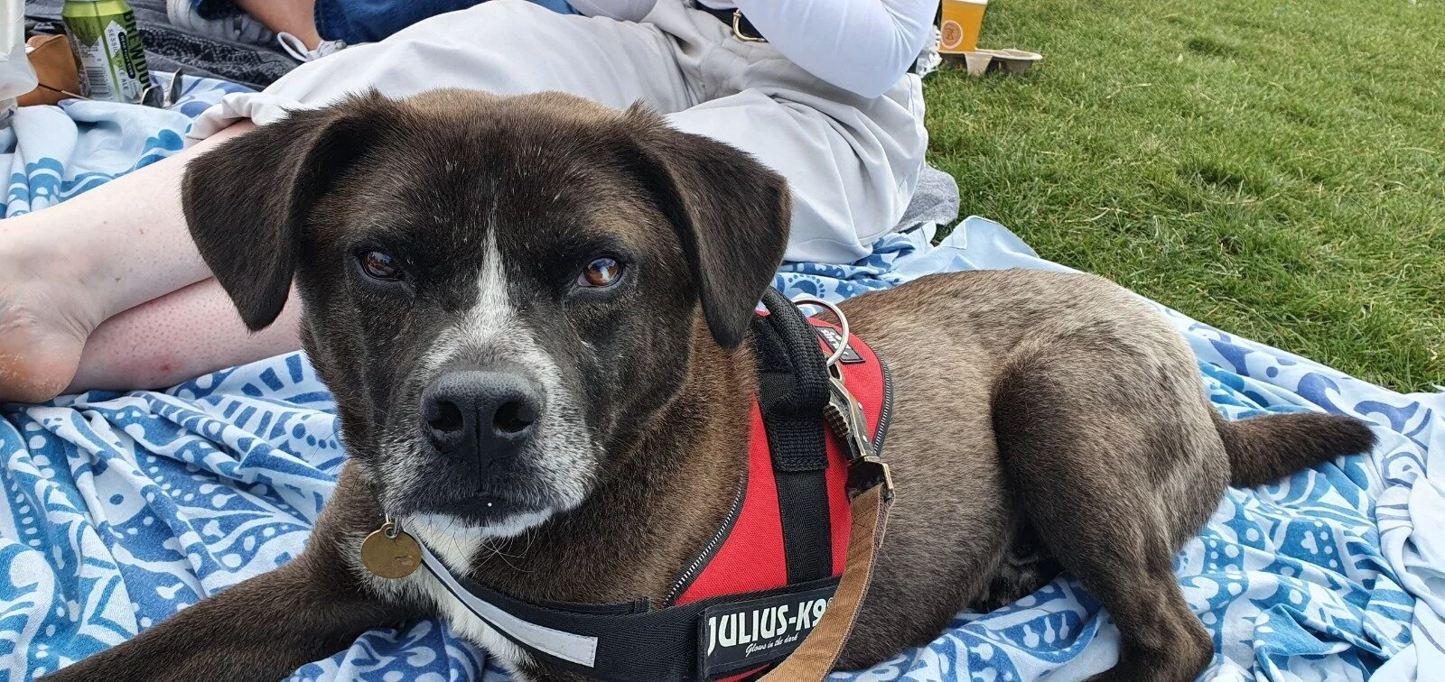 6605847B-706B-4304-86DE-DE6400F15930