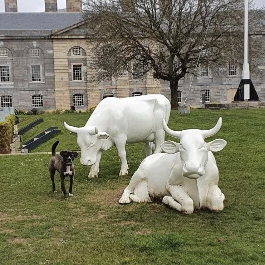 E2FF3F03-838F-4DC5-93E1-A15945F60CBA