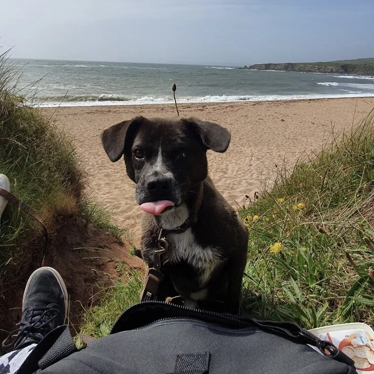 923817CC-3A57-4ED0-889B-548FF0CF0160