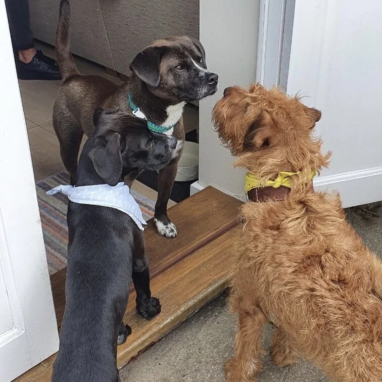 7D282BB4-7879-4355-9D9A-179559A269E7